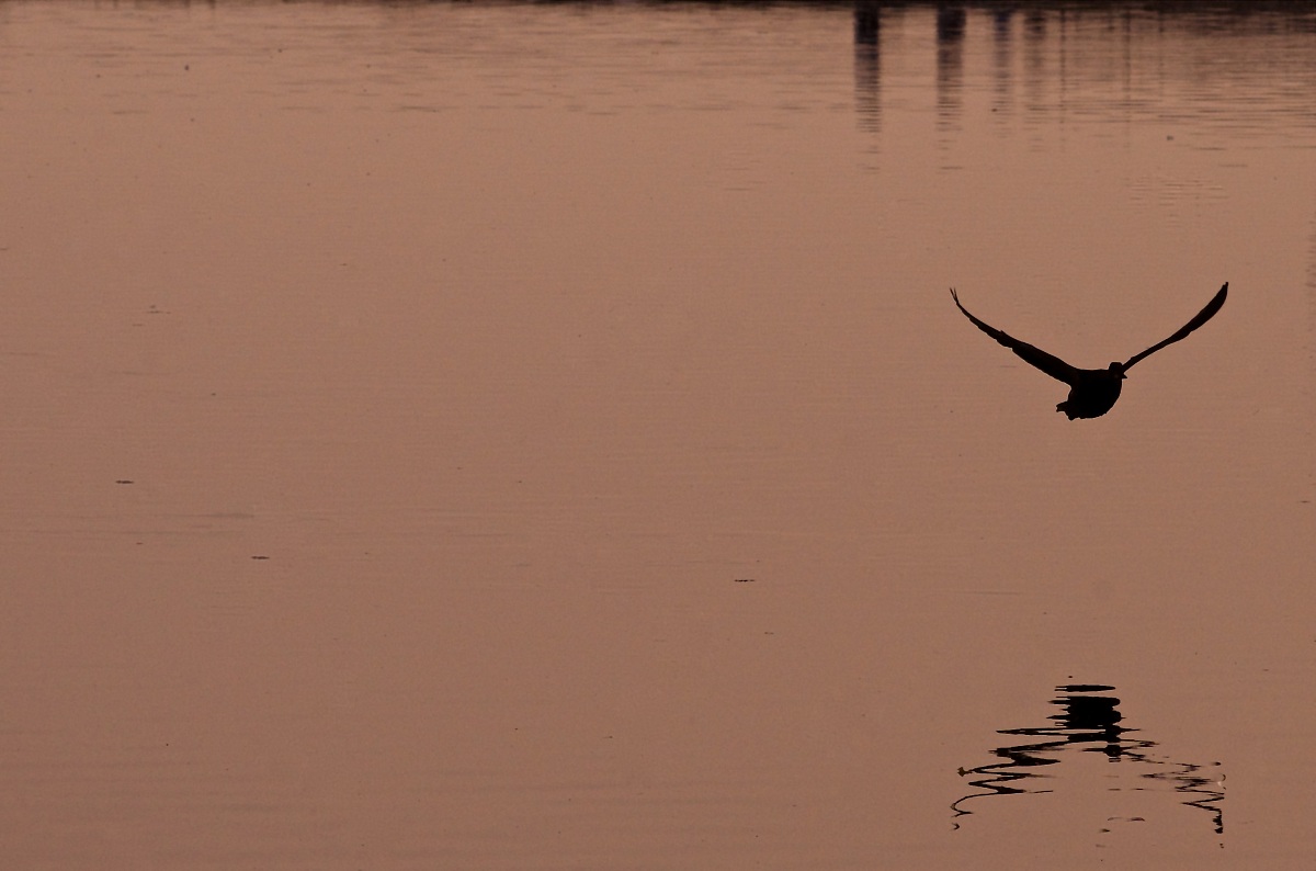 Play of light in the sunset