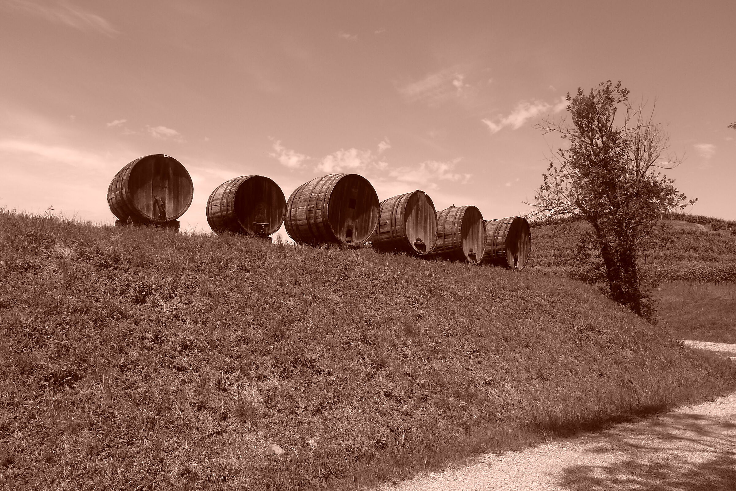 Moai del collio