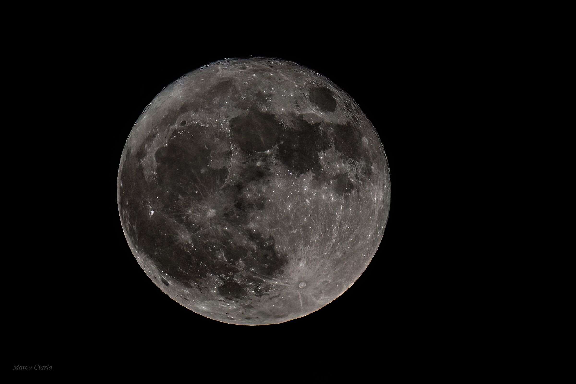 31-5-26 mini Blue Moon