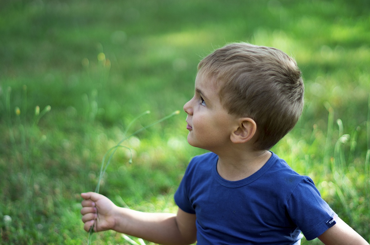 Nex 5n + summilux 75@1.4: pennellate ad olio