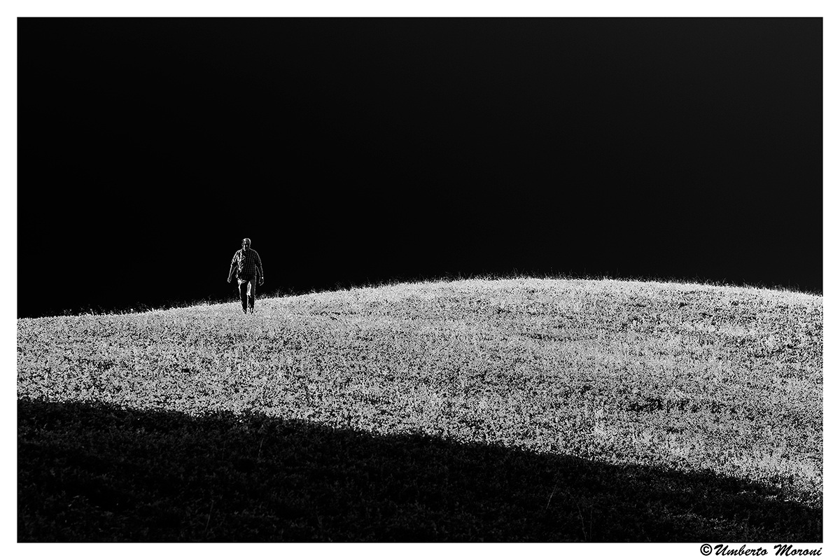 Ombre e luci della vita