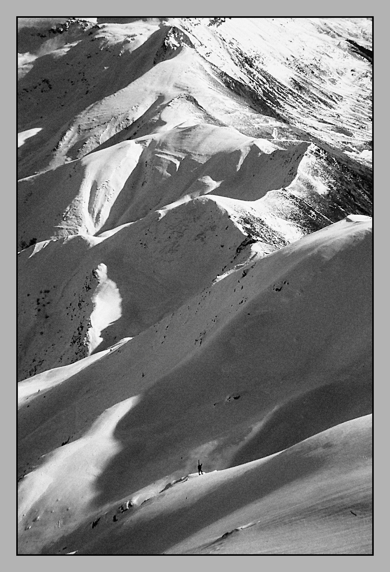 Sulle giogaie