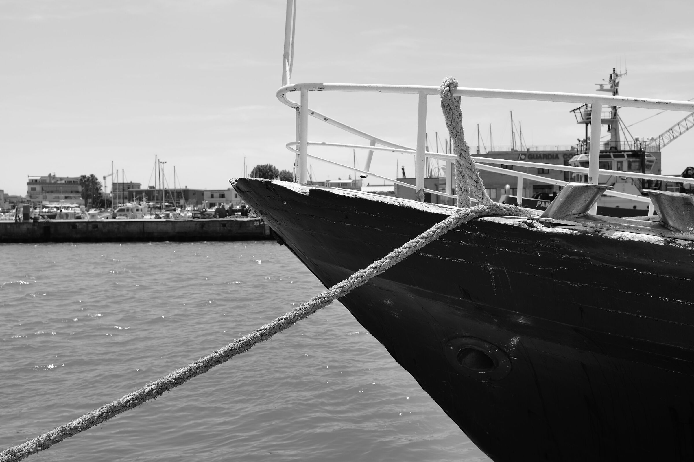 The boat