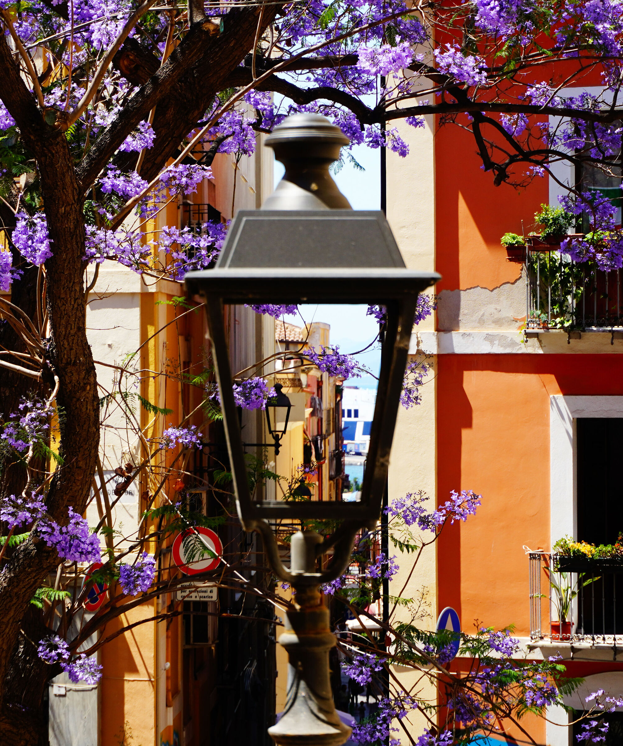 Cagliari, my city