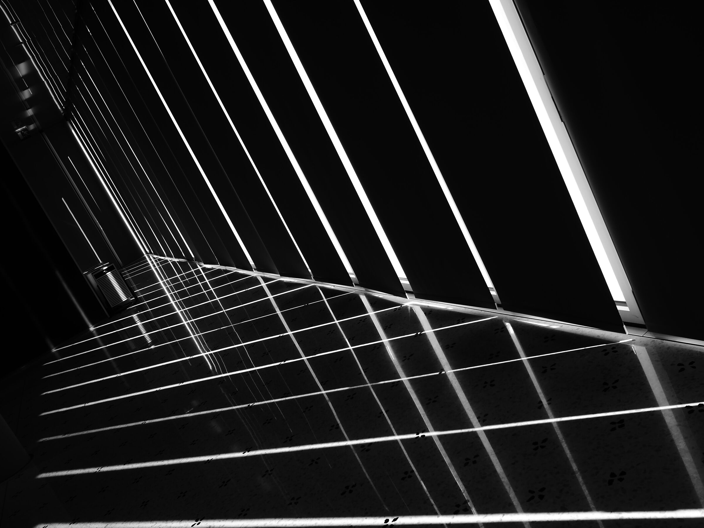 Linee