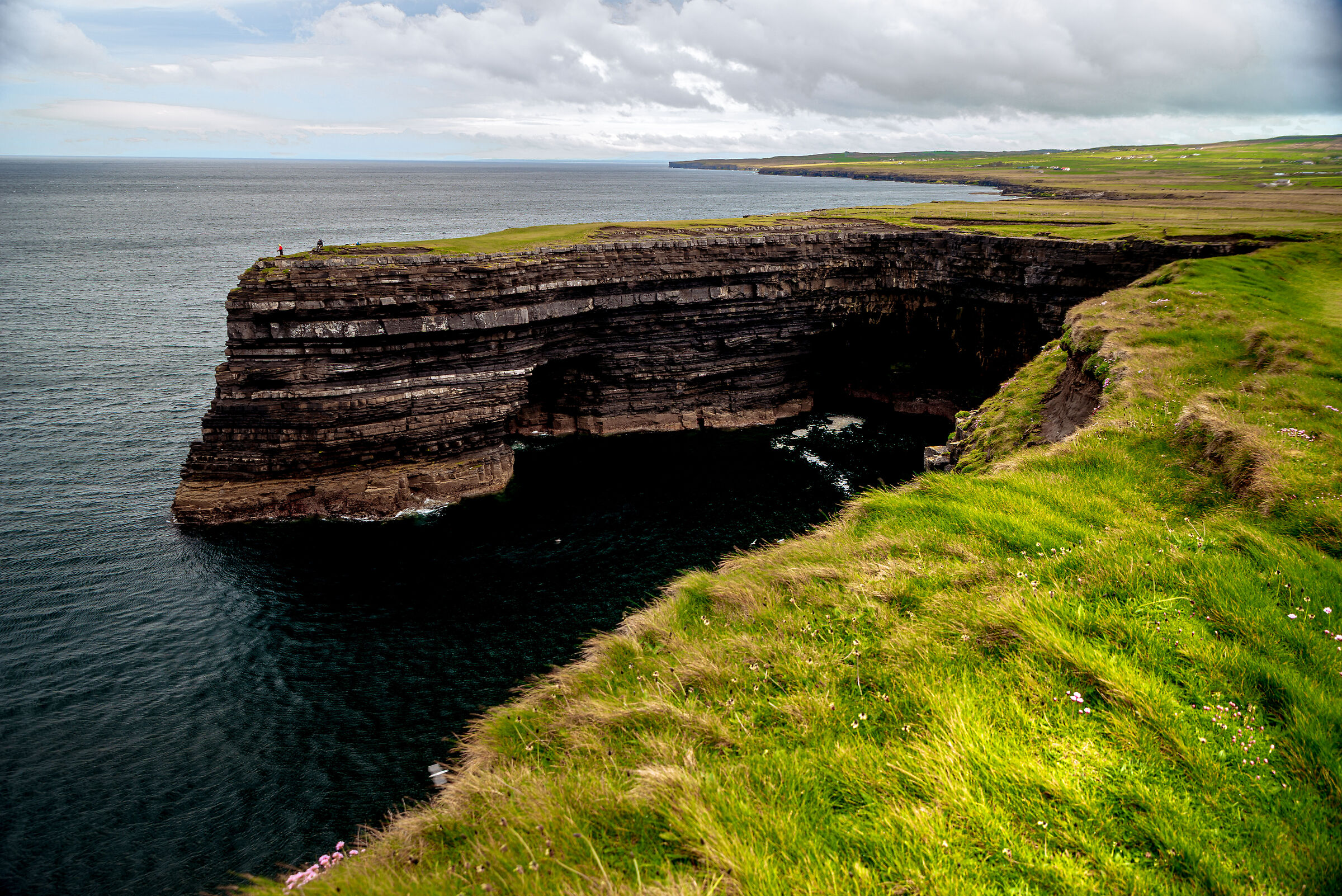Cliff Mayo