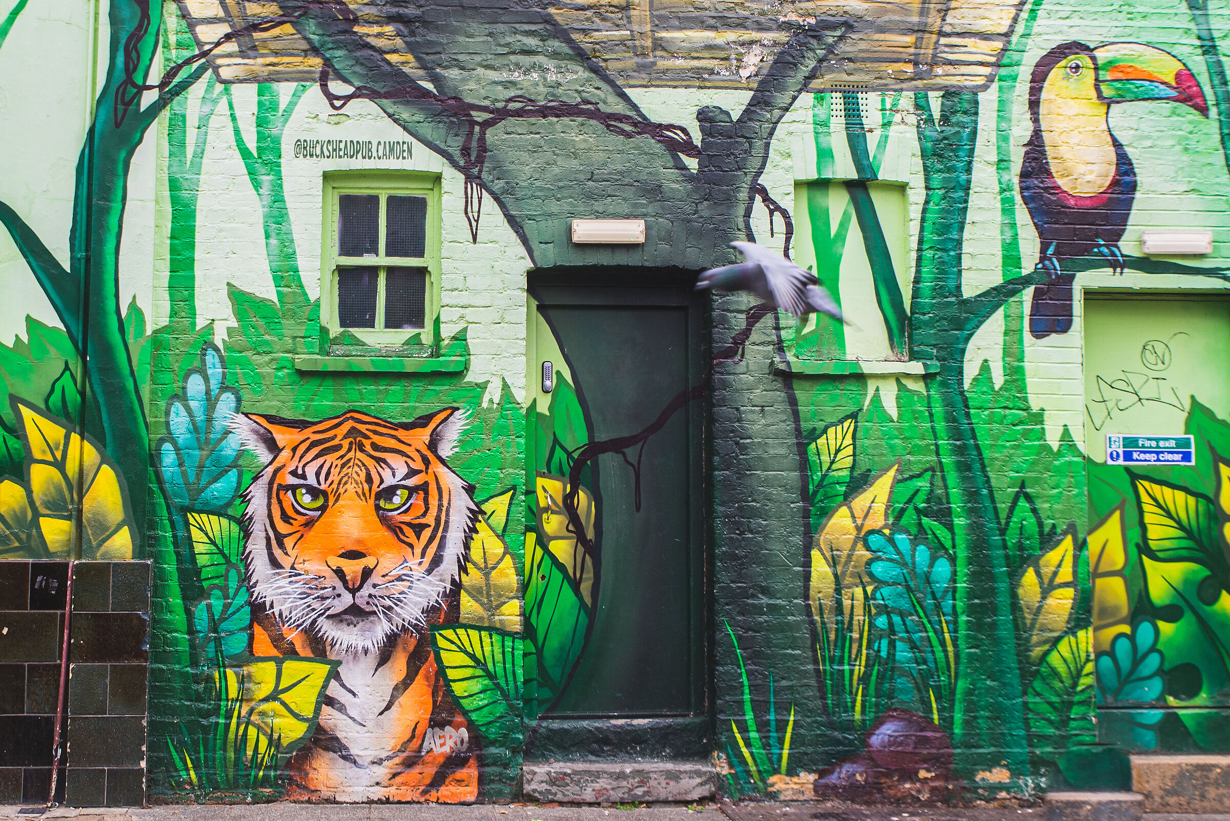 Camden colors