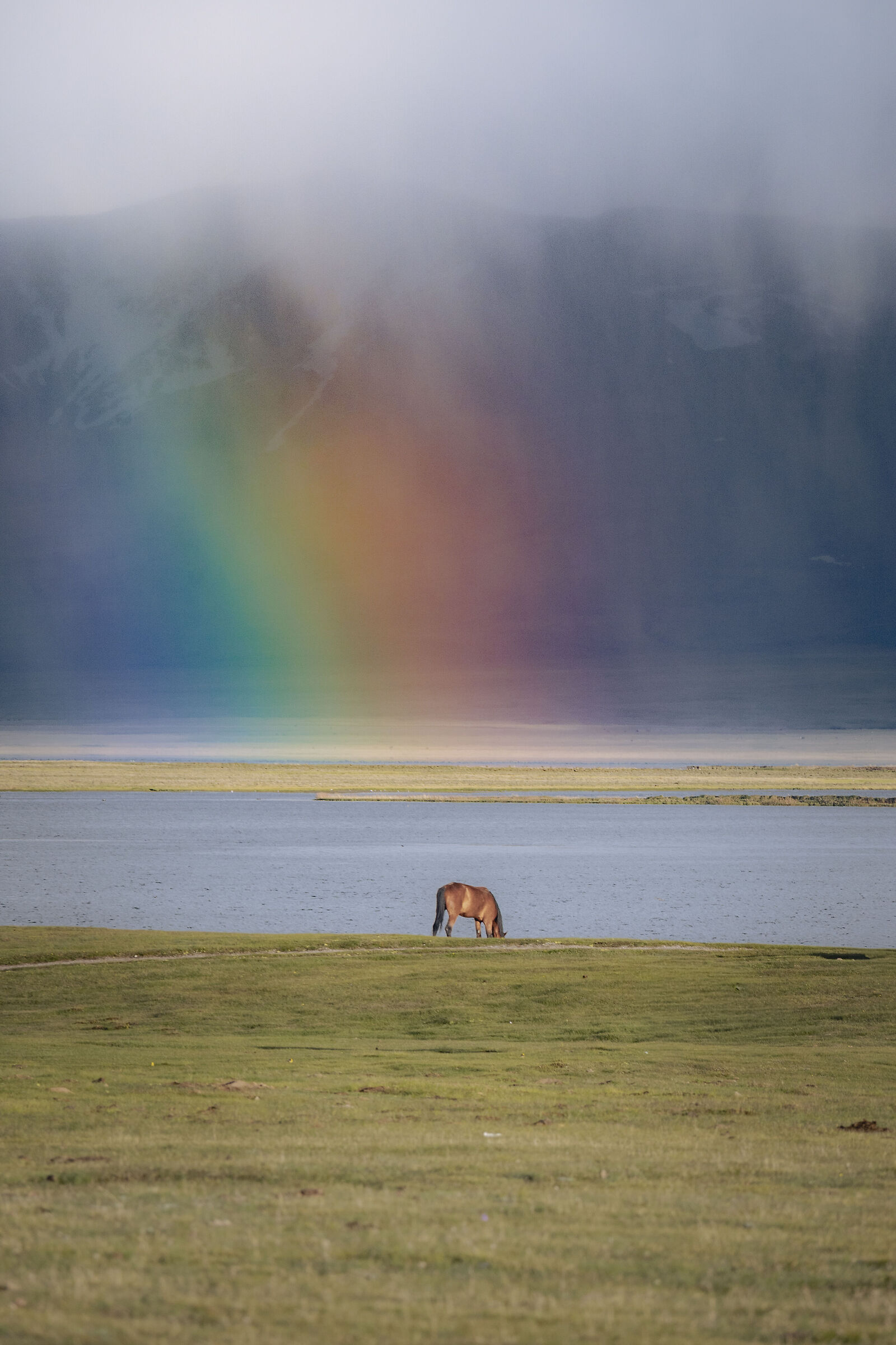 Drinking from the rainbow