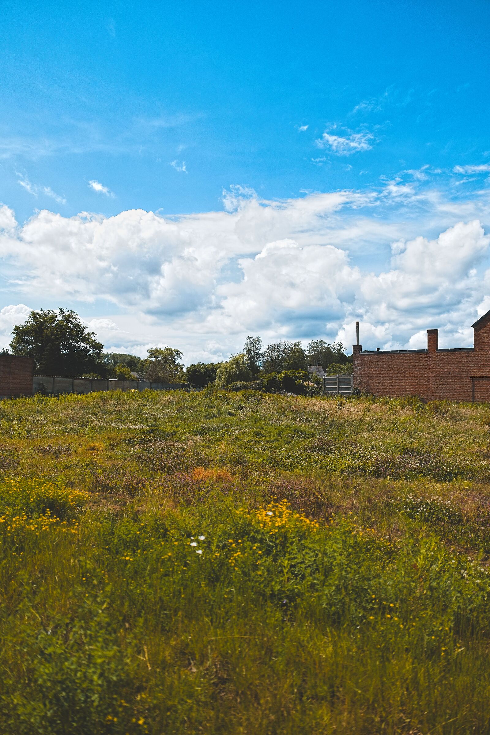 Urban landscape