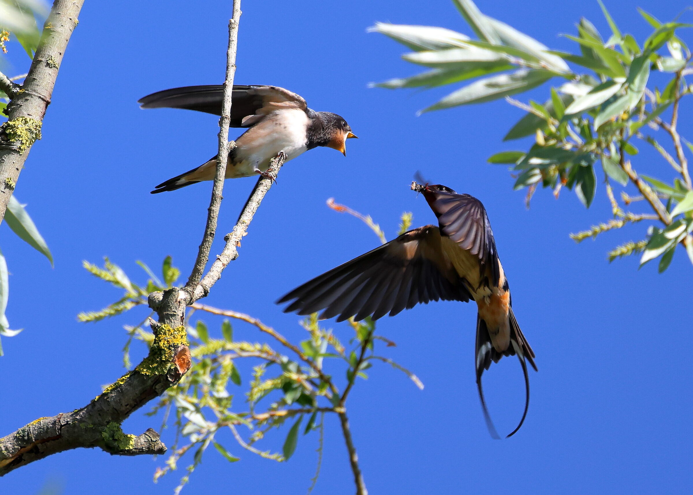 It's feeding time! sequence 1of3