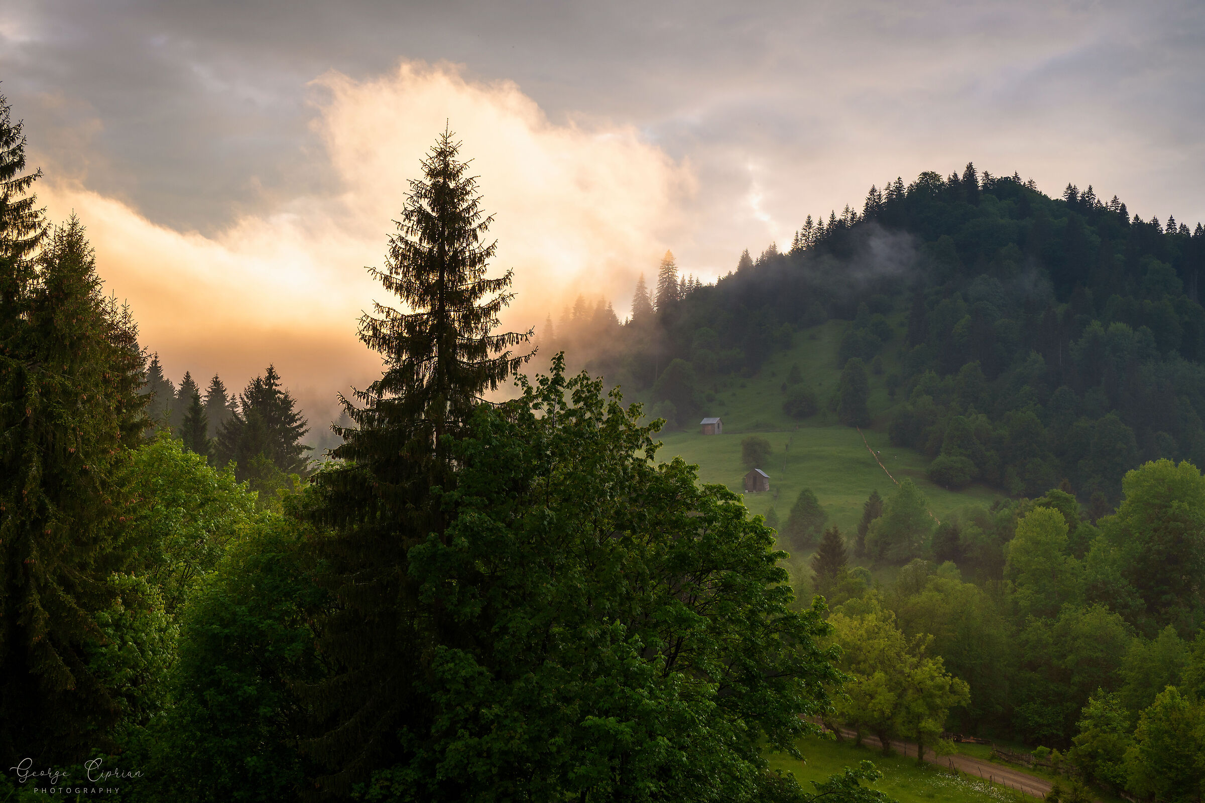 Sunset over Carpathians