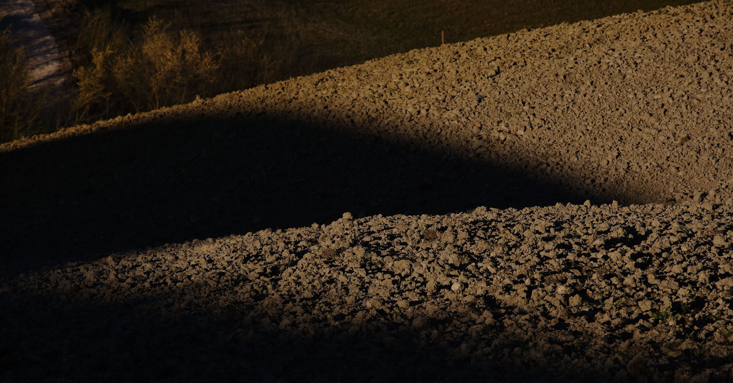 Sienese Landscape 2