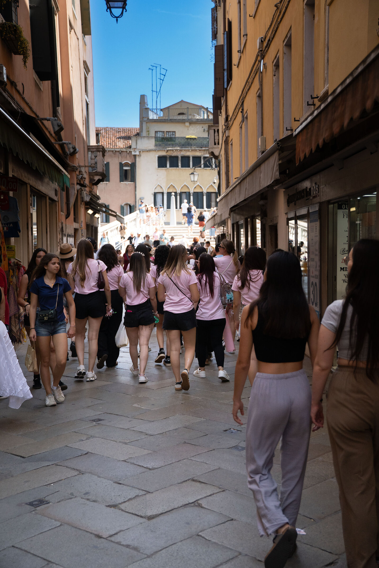 Pink Ladies
