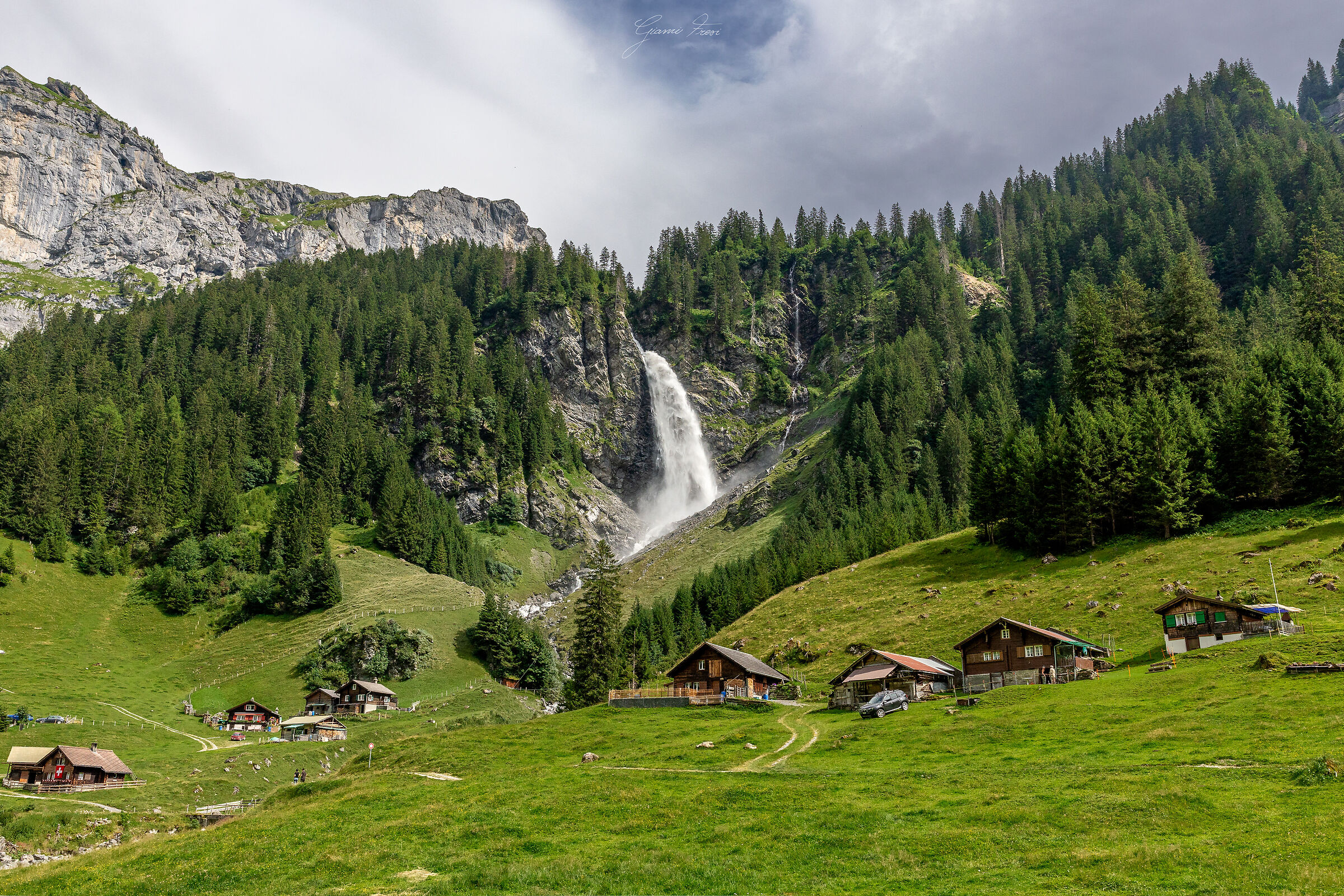 Staubifall
