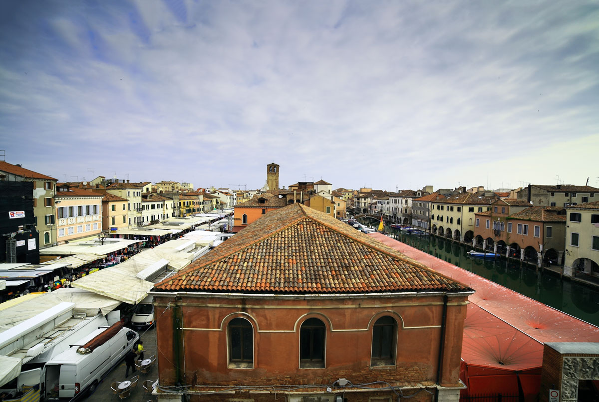 Chioggia and the market