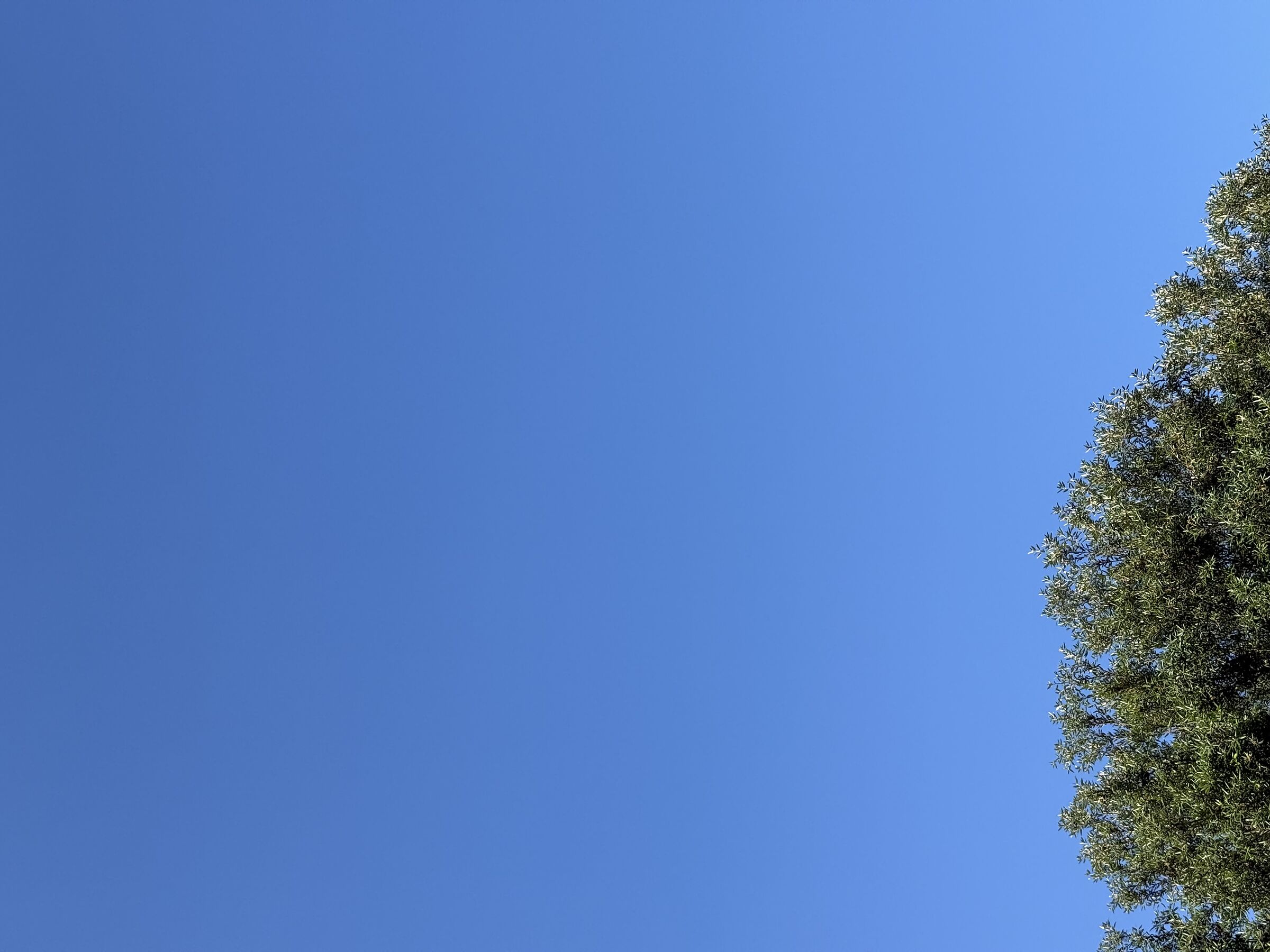 Untitled Photo