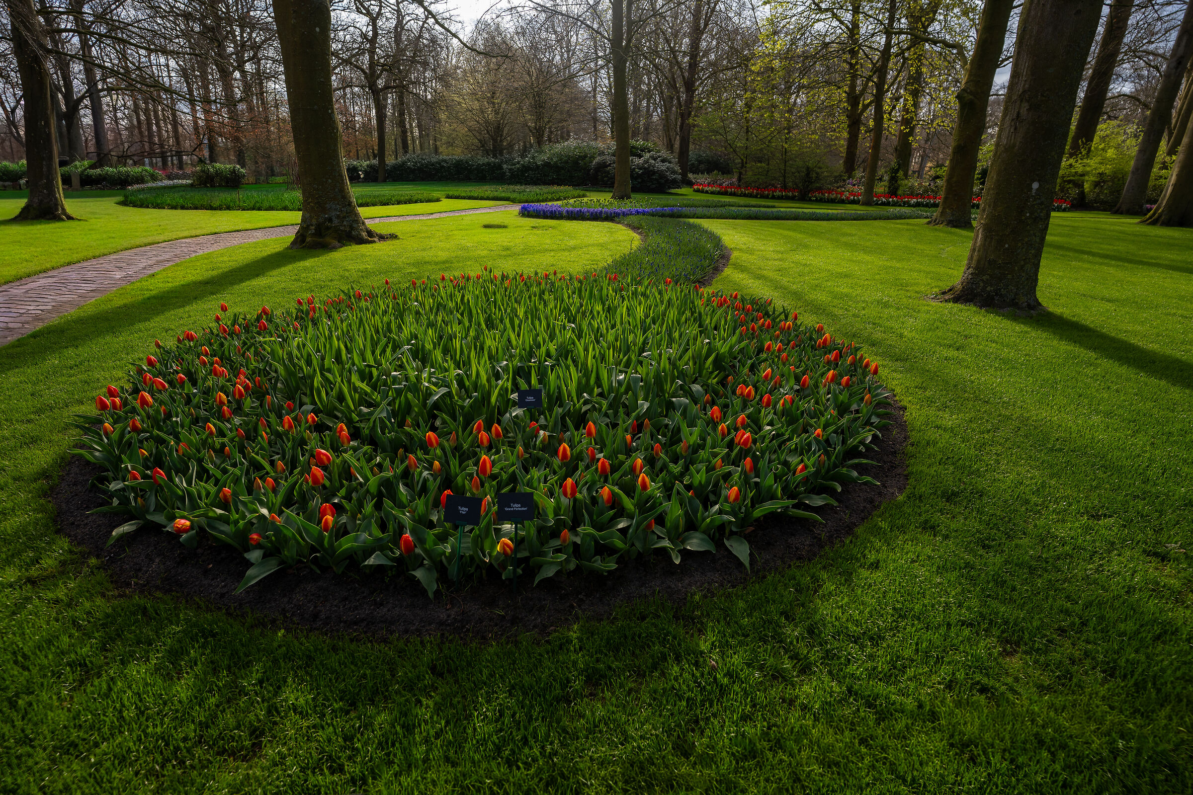 Tulip Festival