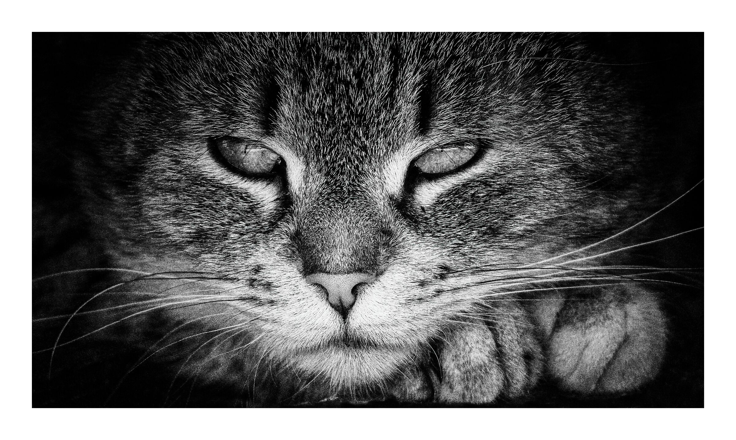 Untitled Photo