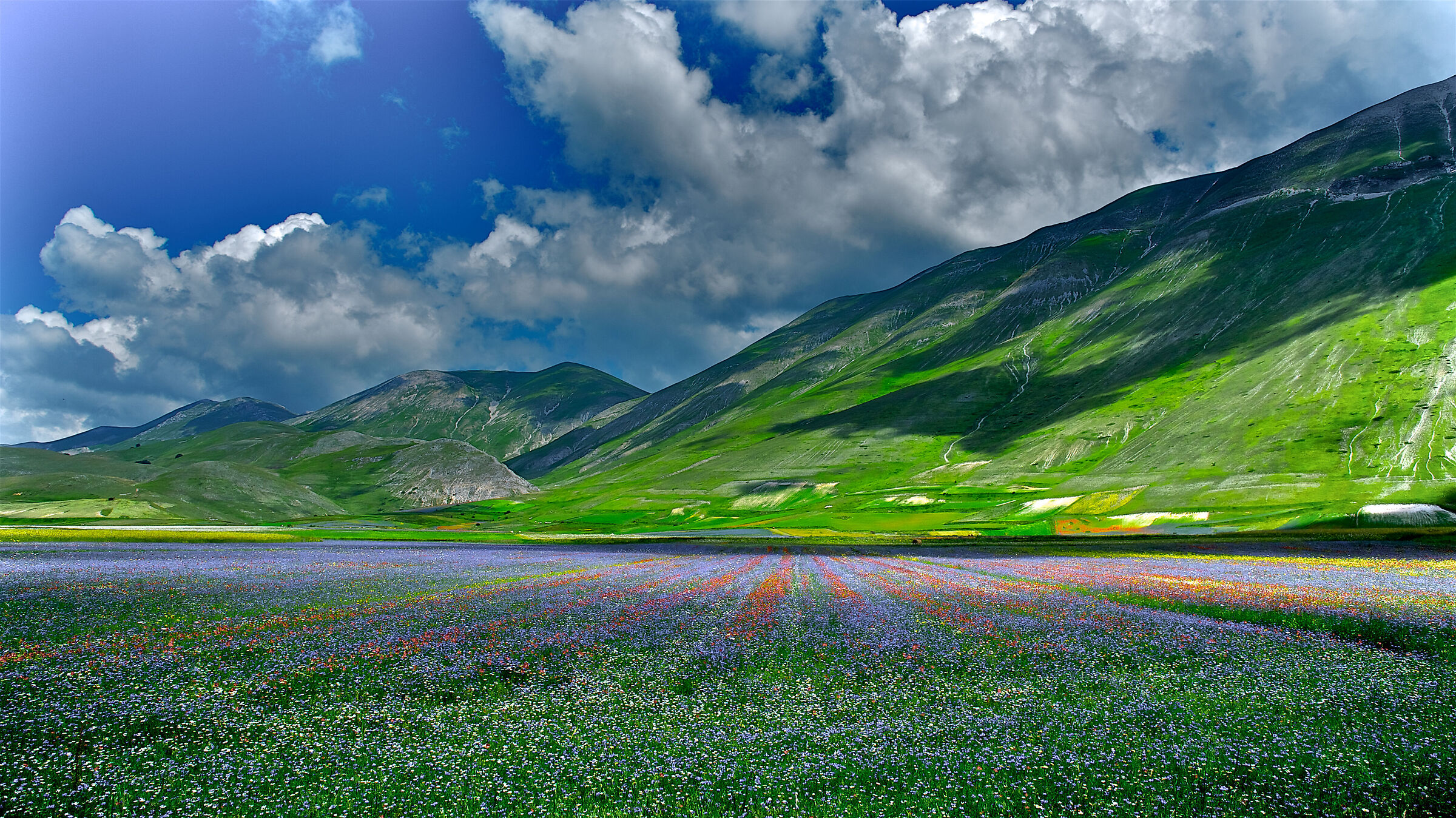 Castelluccio