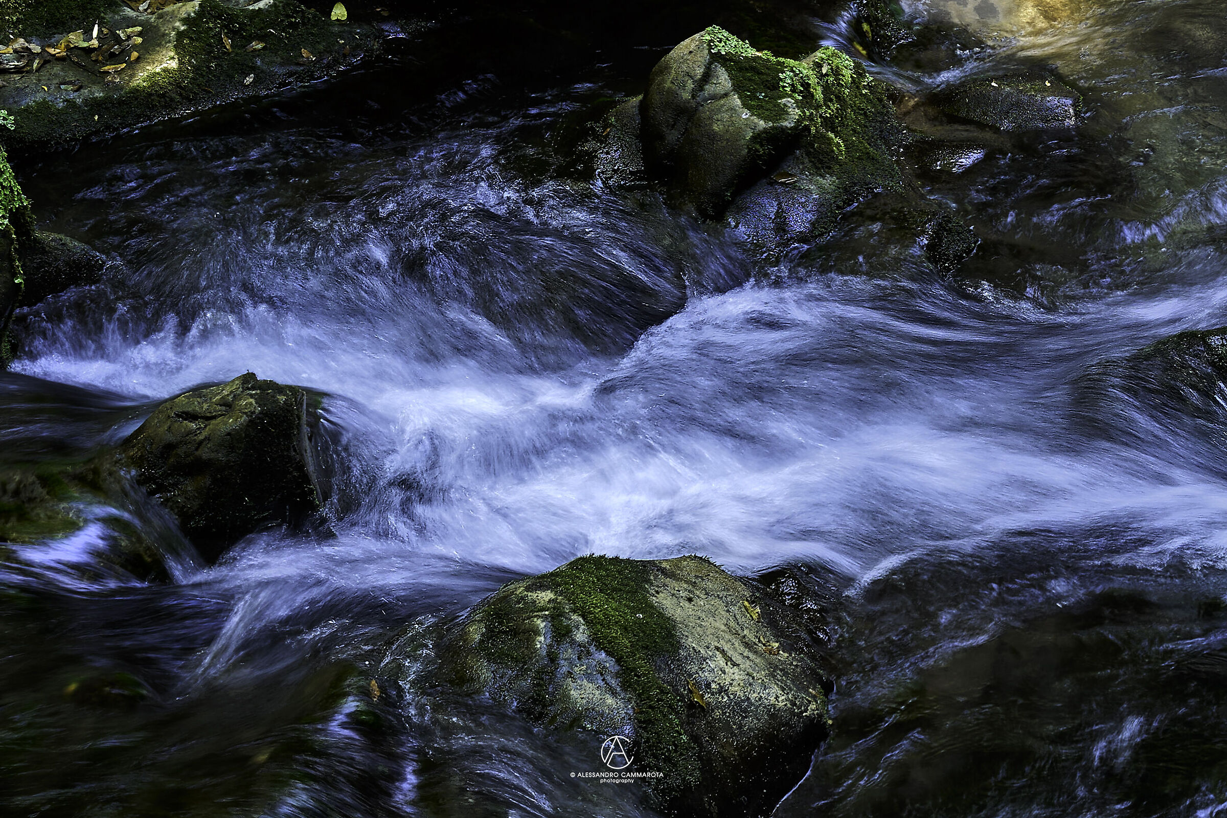 Acqua