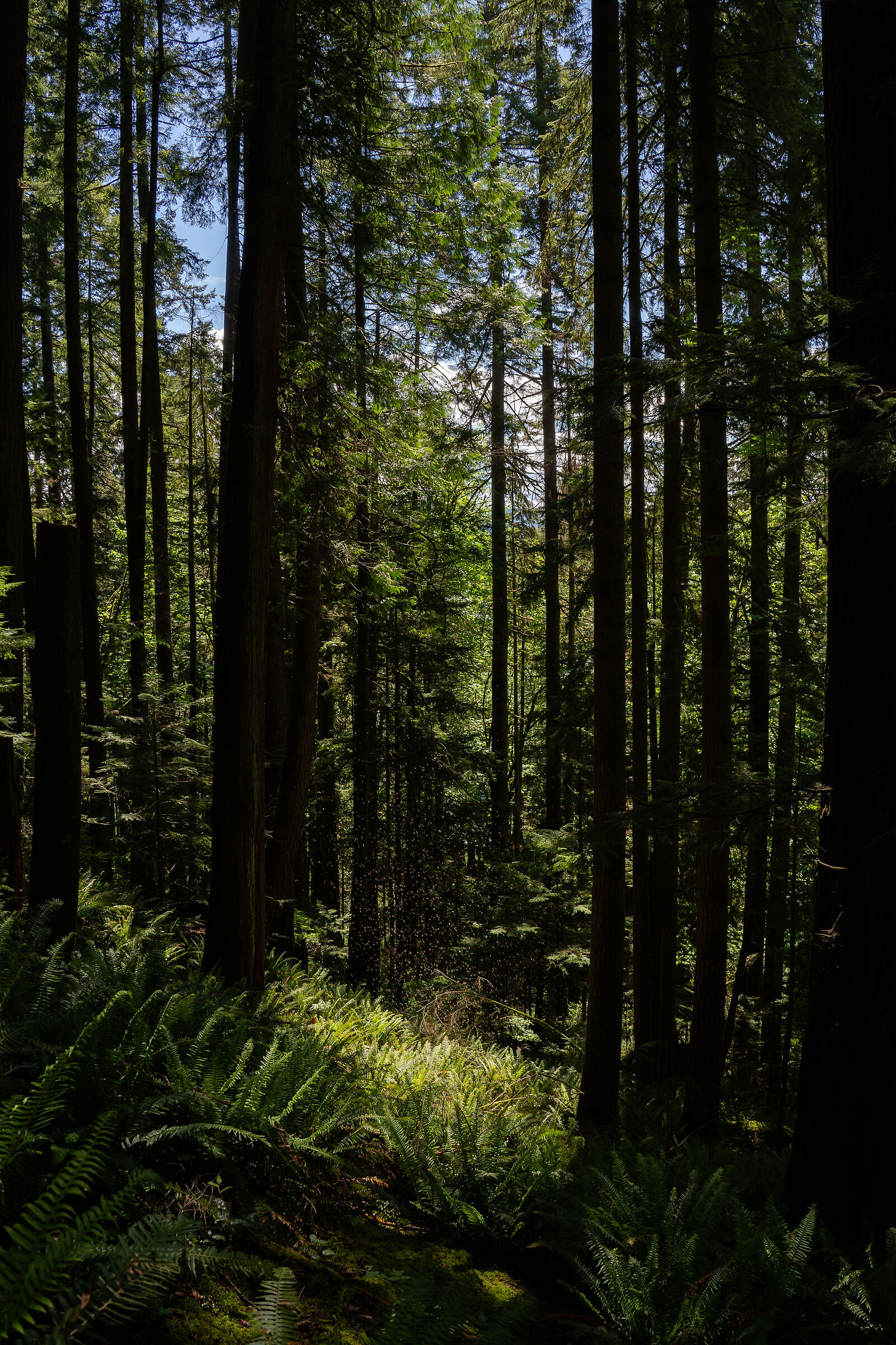 Untitled Photo
