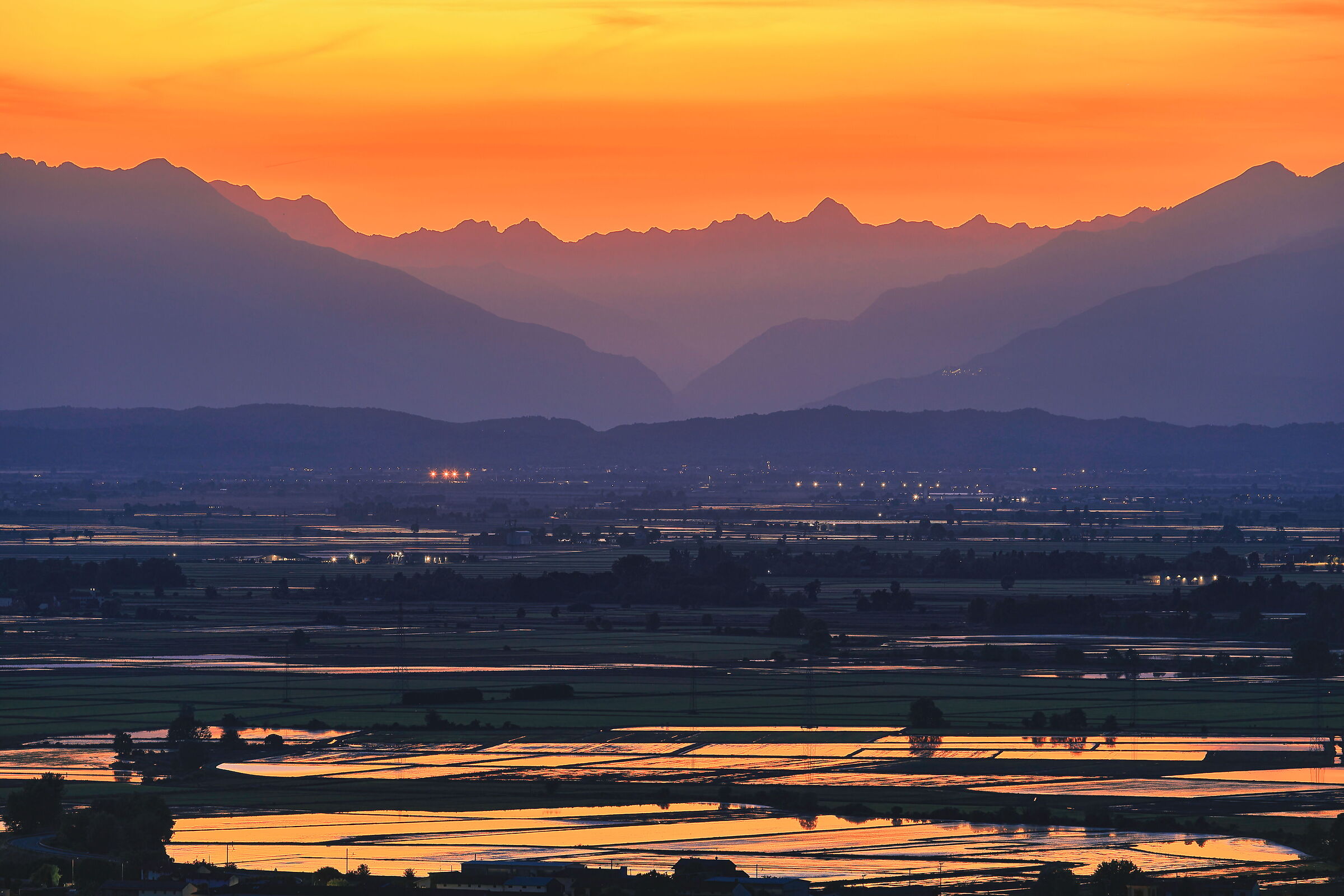 From rice to the Alps
