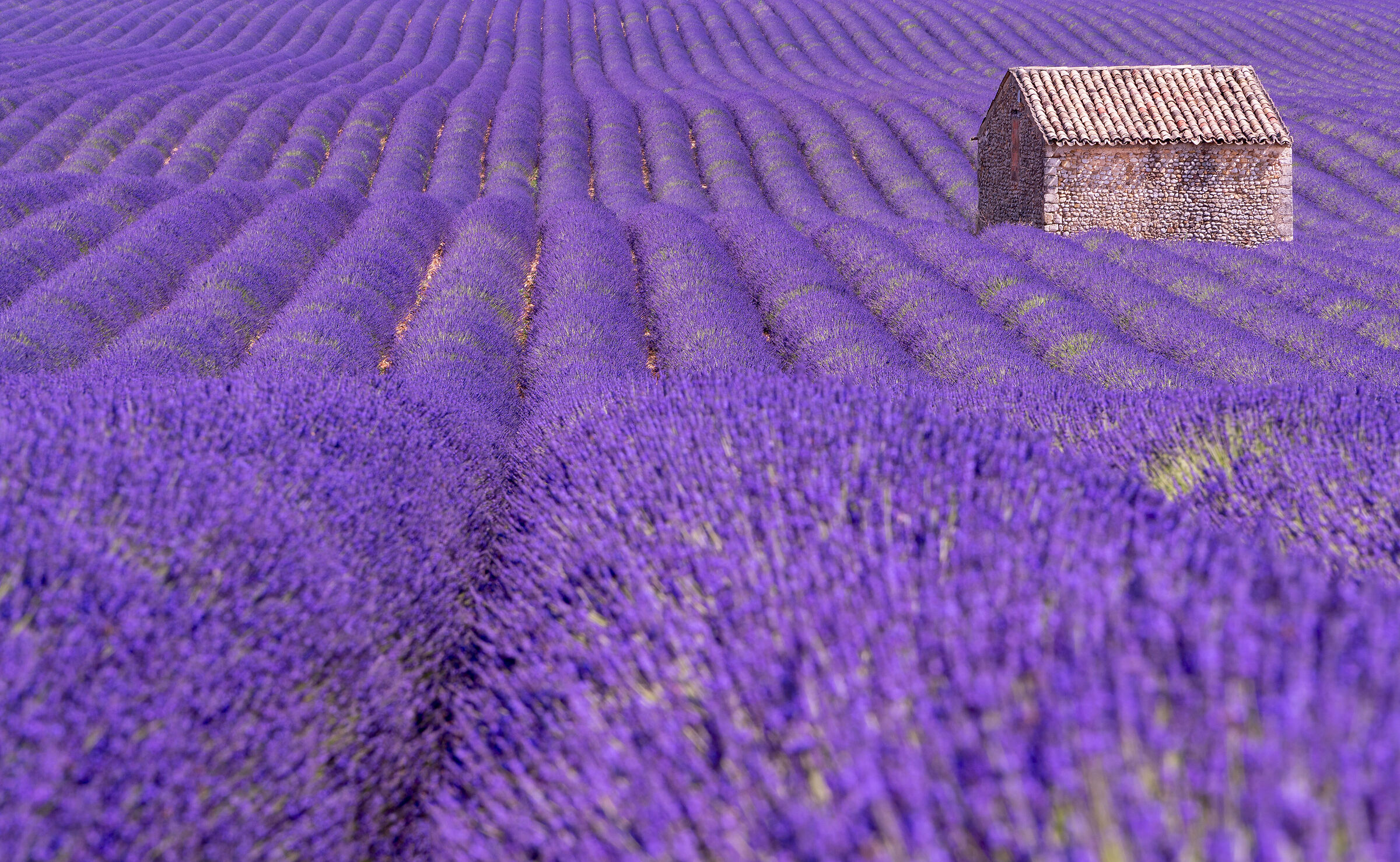 Provence