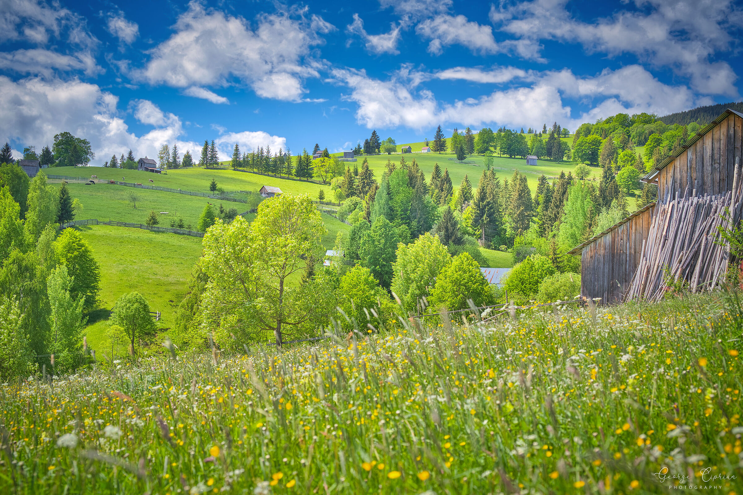 Return to The Shire