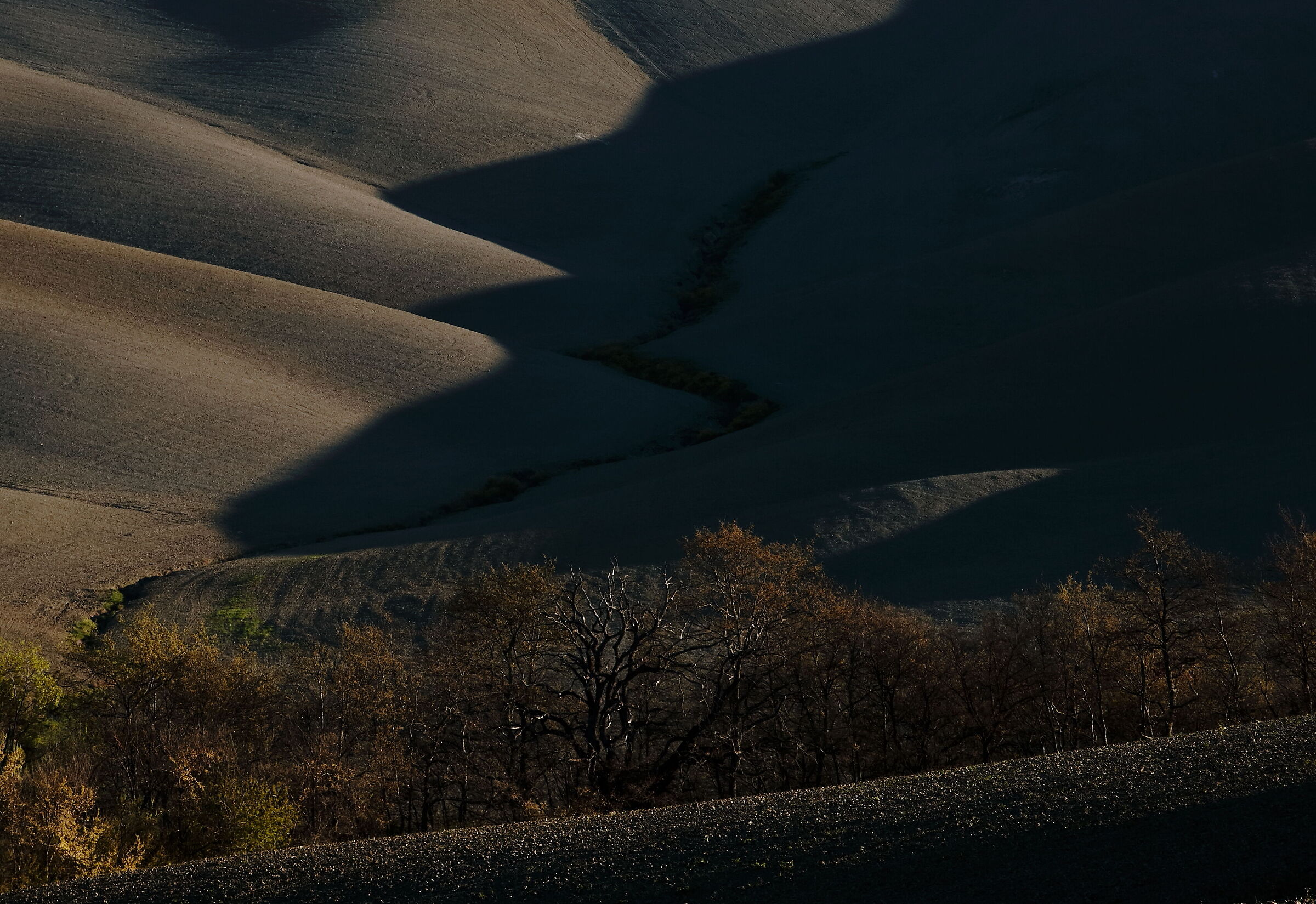 Sienese Landscape 2