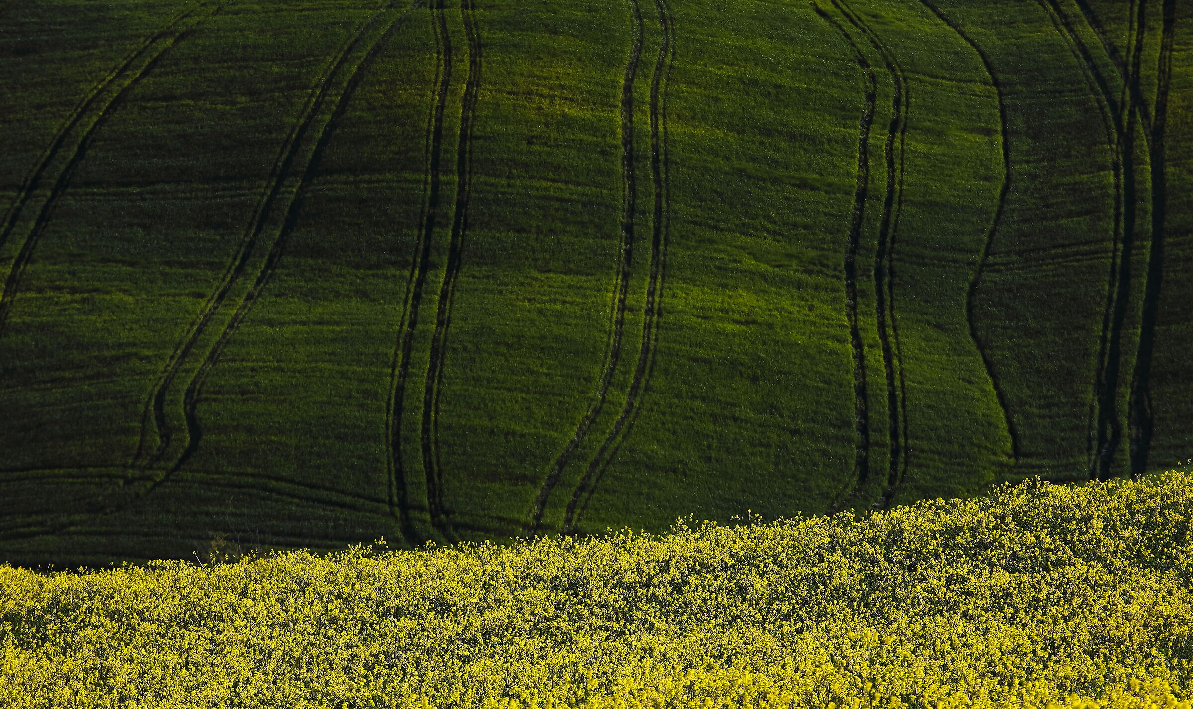 Ascianese Landscape 3