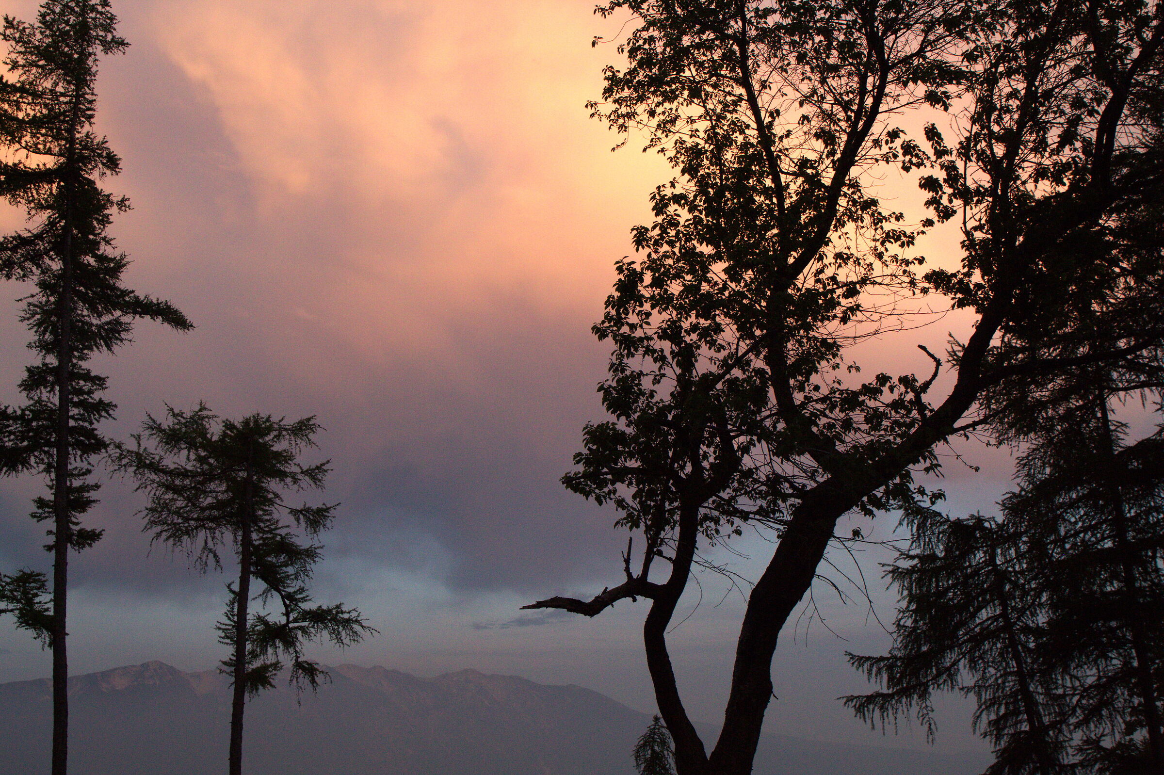 Untitled Photo