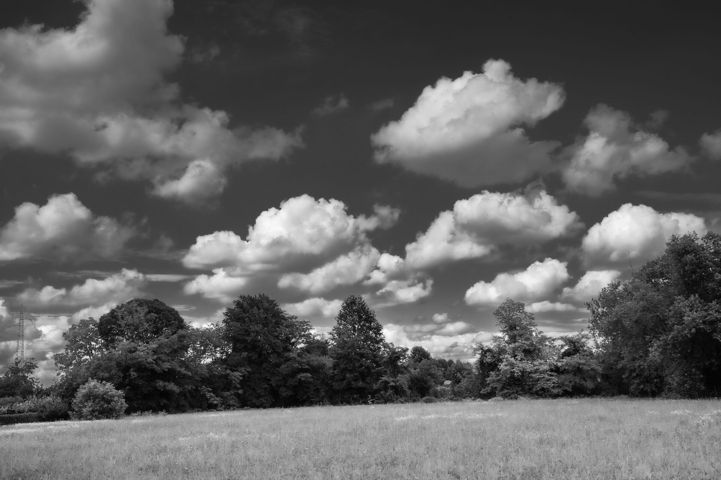 MyCloud...