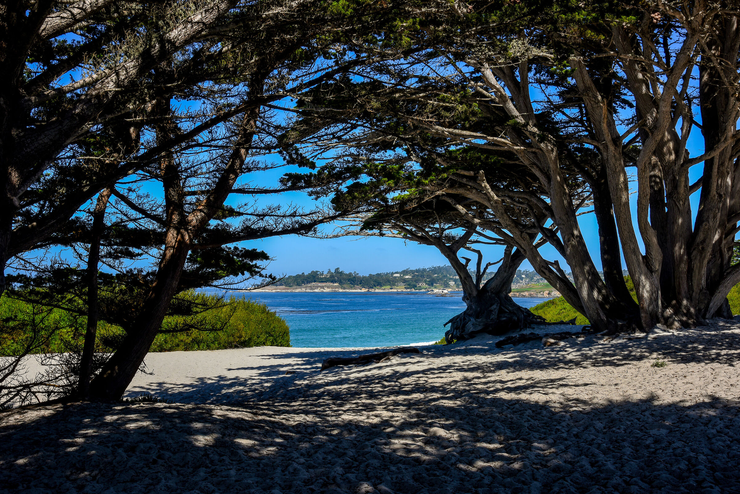 carmel by The Sea