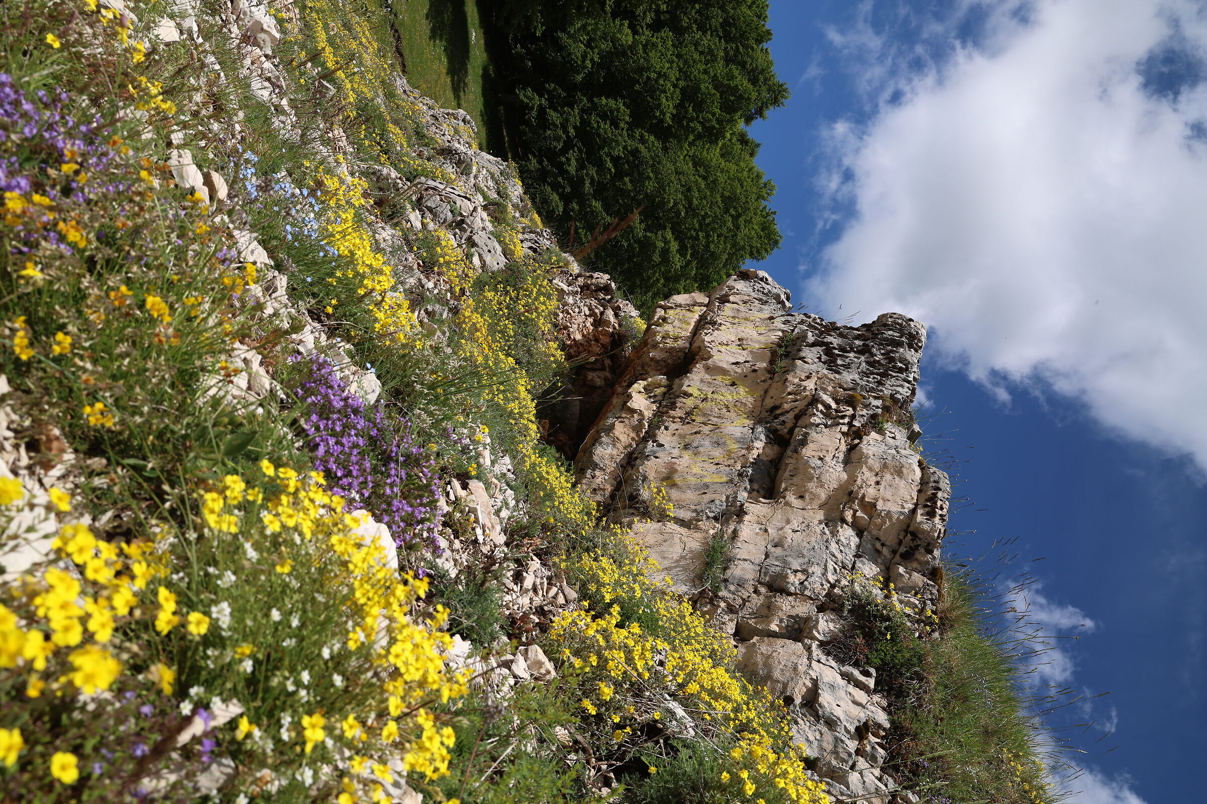 Roccia incorniciata di colori