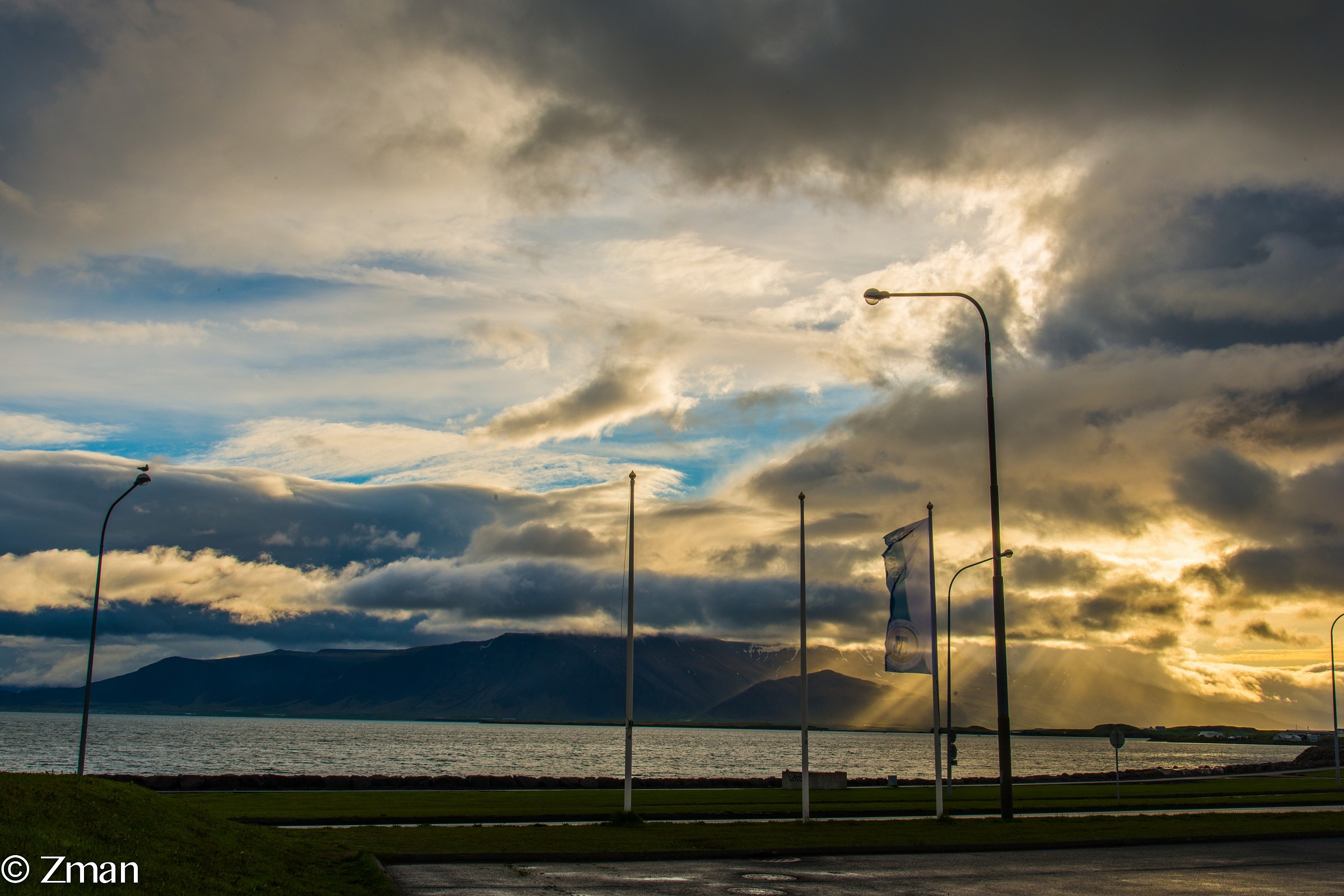 The Street Light Poles