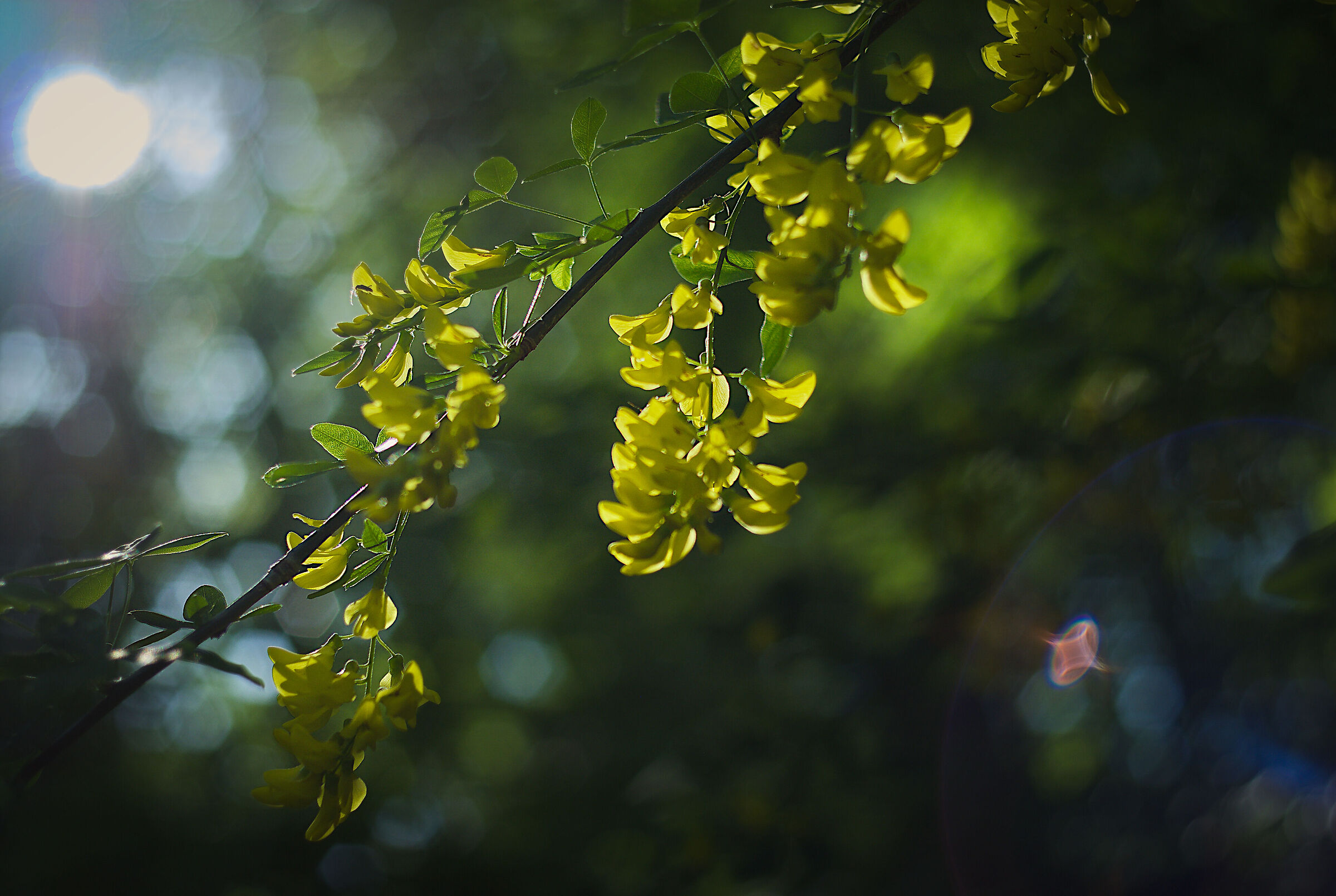Untitled Photo