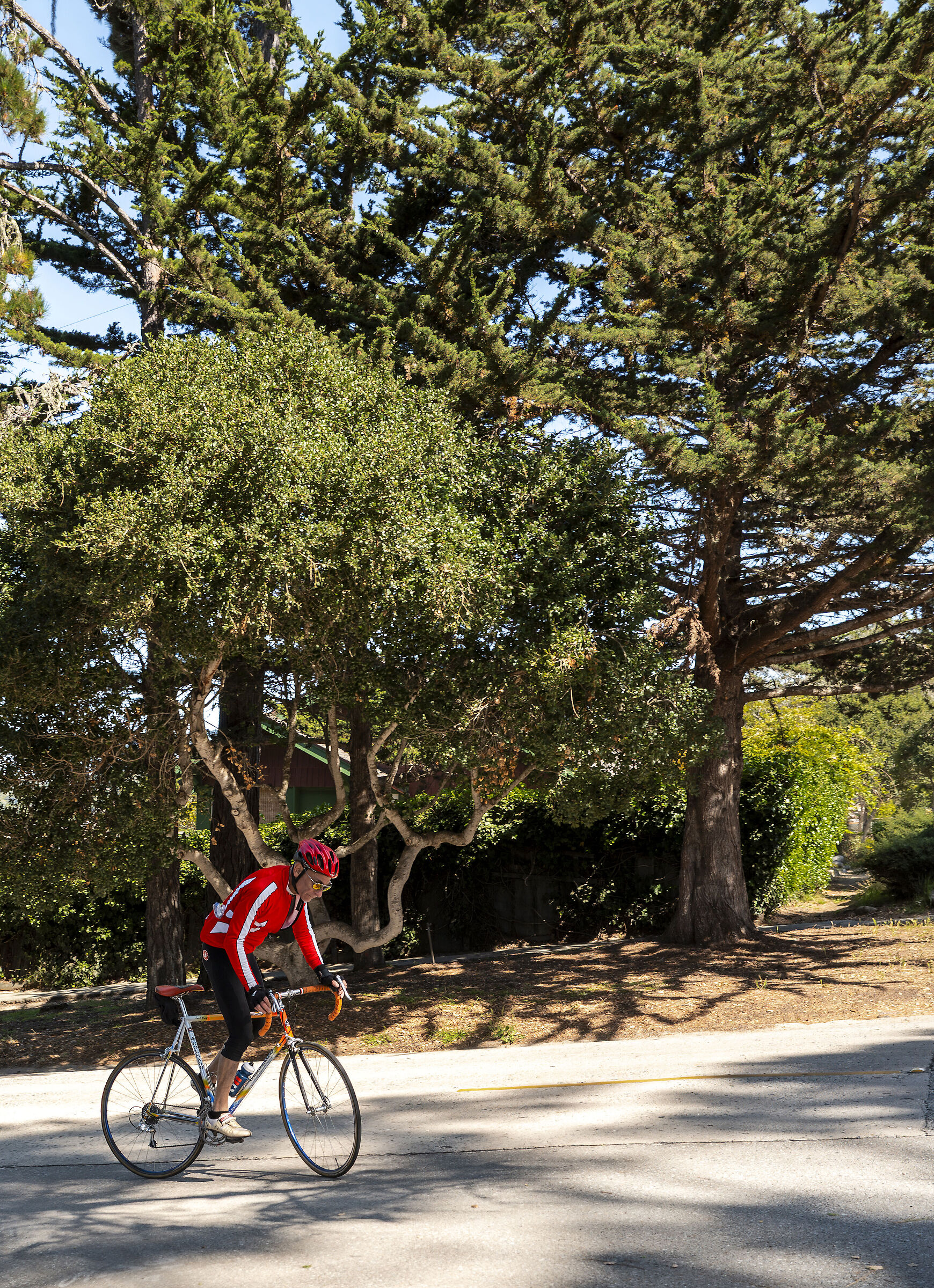 carmel by The Sea