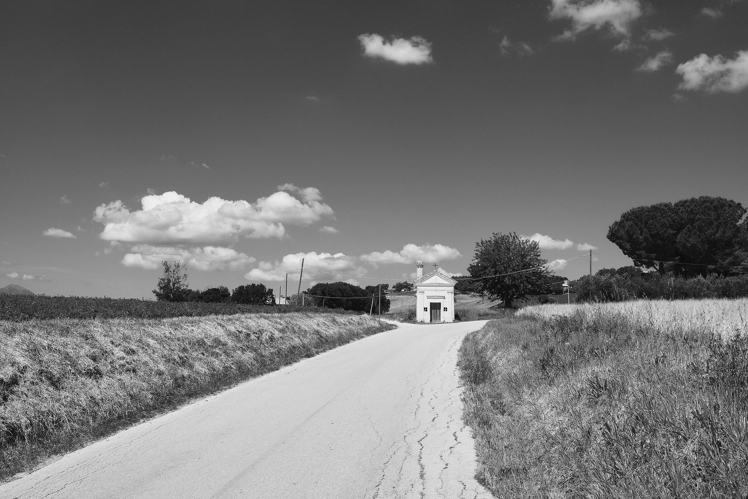 Untitled Photo