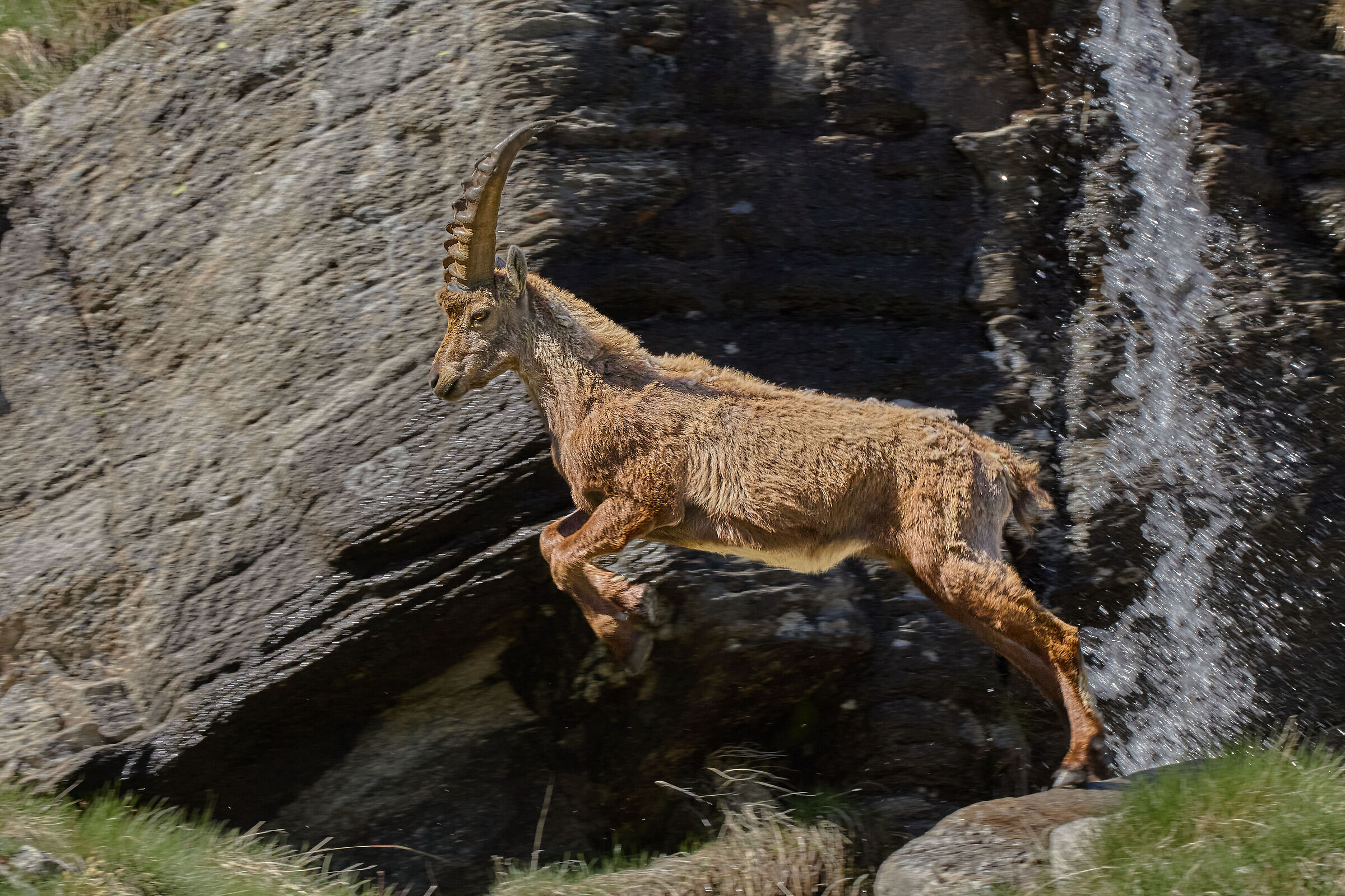 Jump