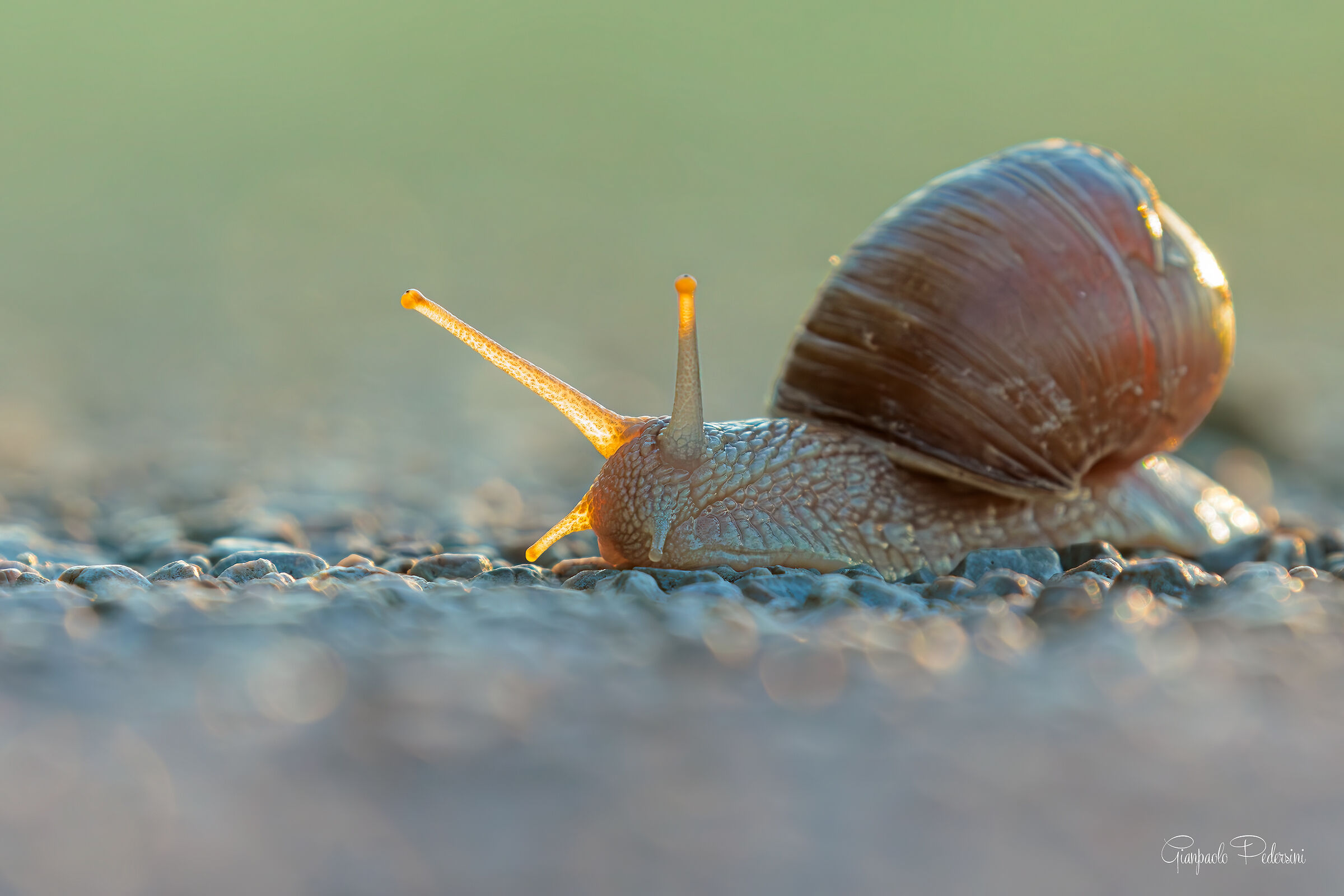 Un percorso difficile