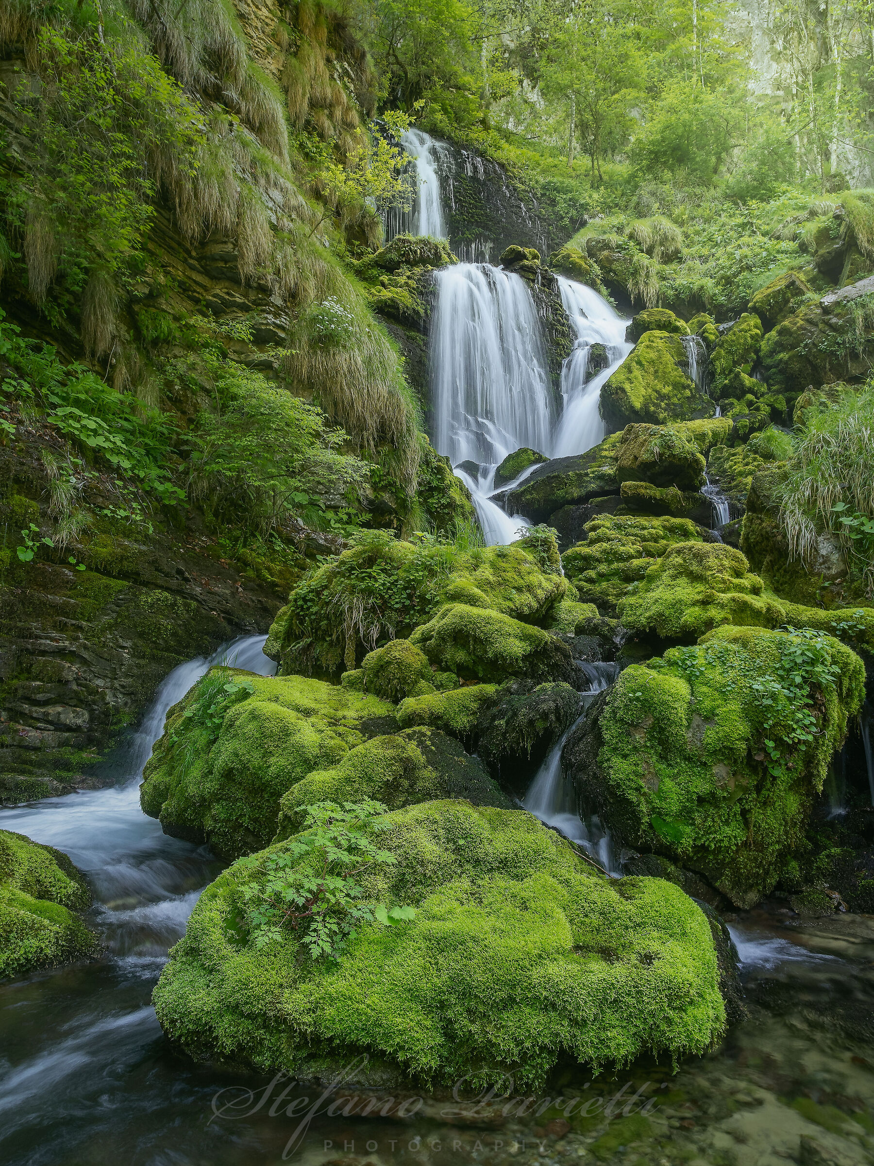 The Secret Garden of Water