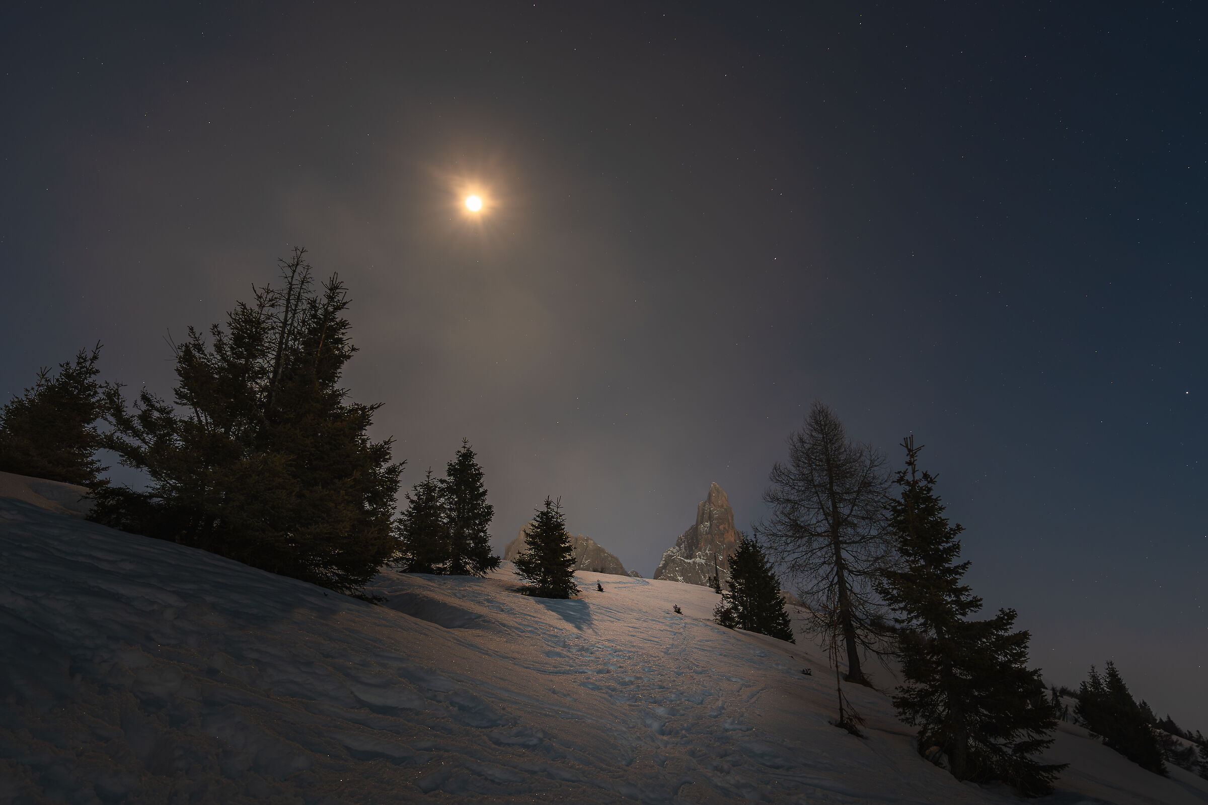 Quiet Moonlight Path