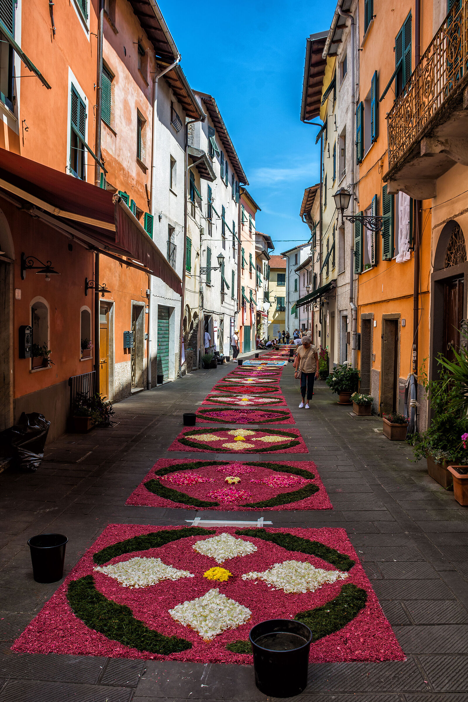 Infiorata di Brugnato