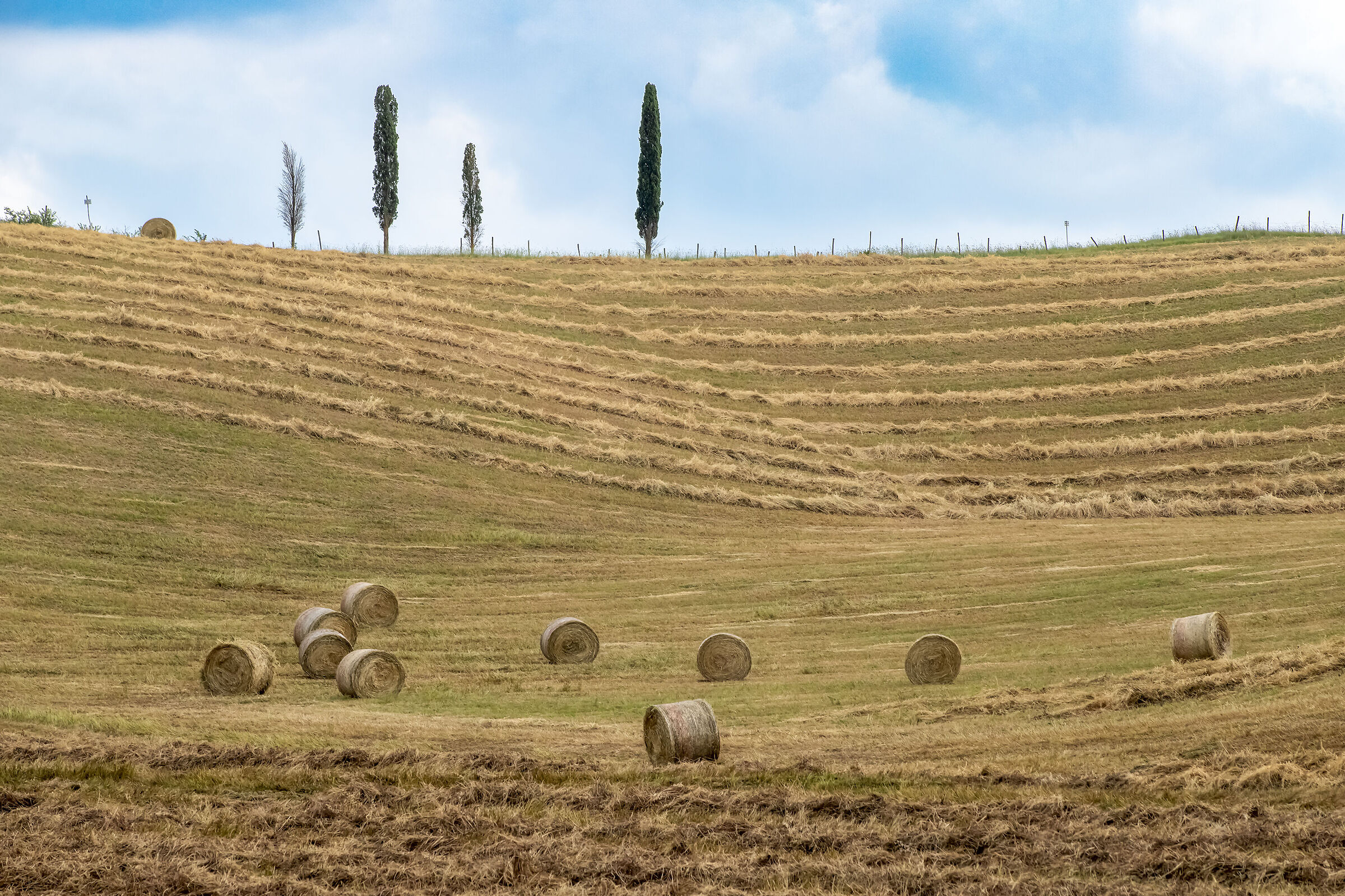 Rotoballe Toscane