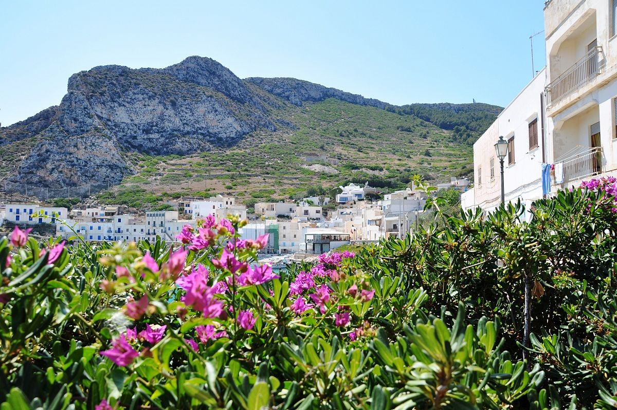 Levanzo among the flowers
