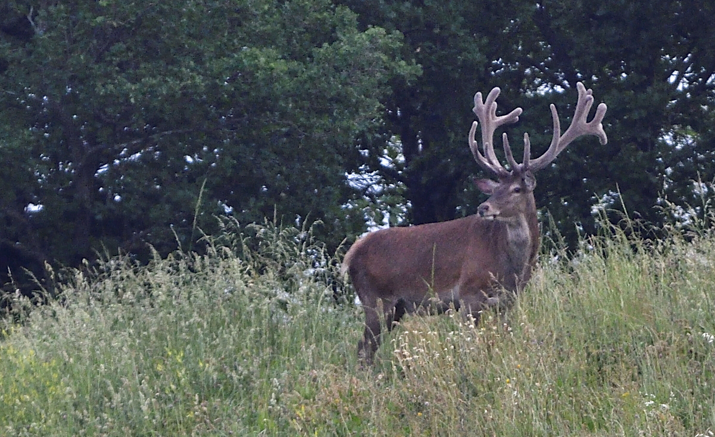 Appennino Emiliano Romagnolo