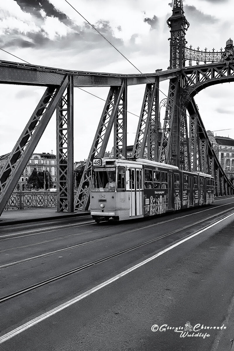 Trolleybus line 48 (Budapest H)