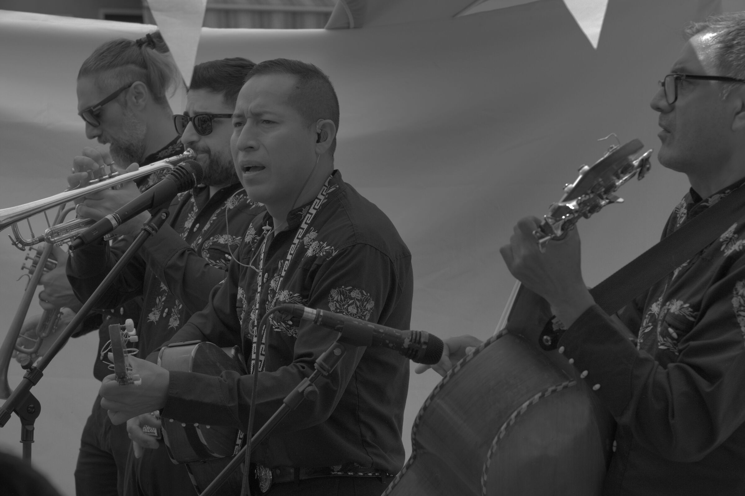 Viva Zapata !!! 2