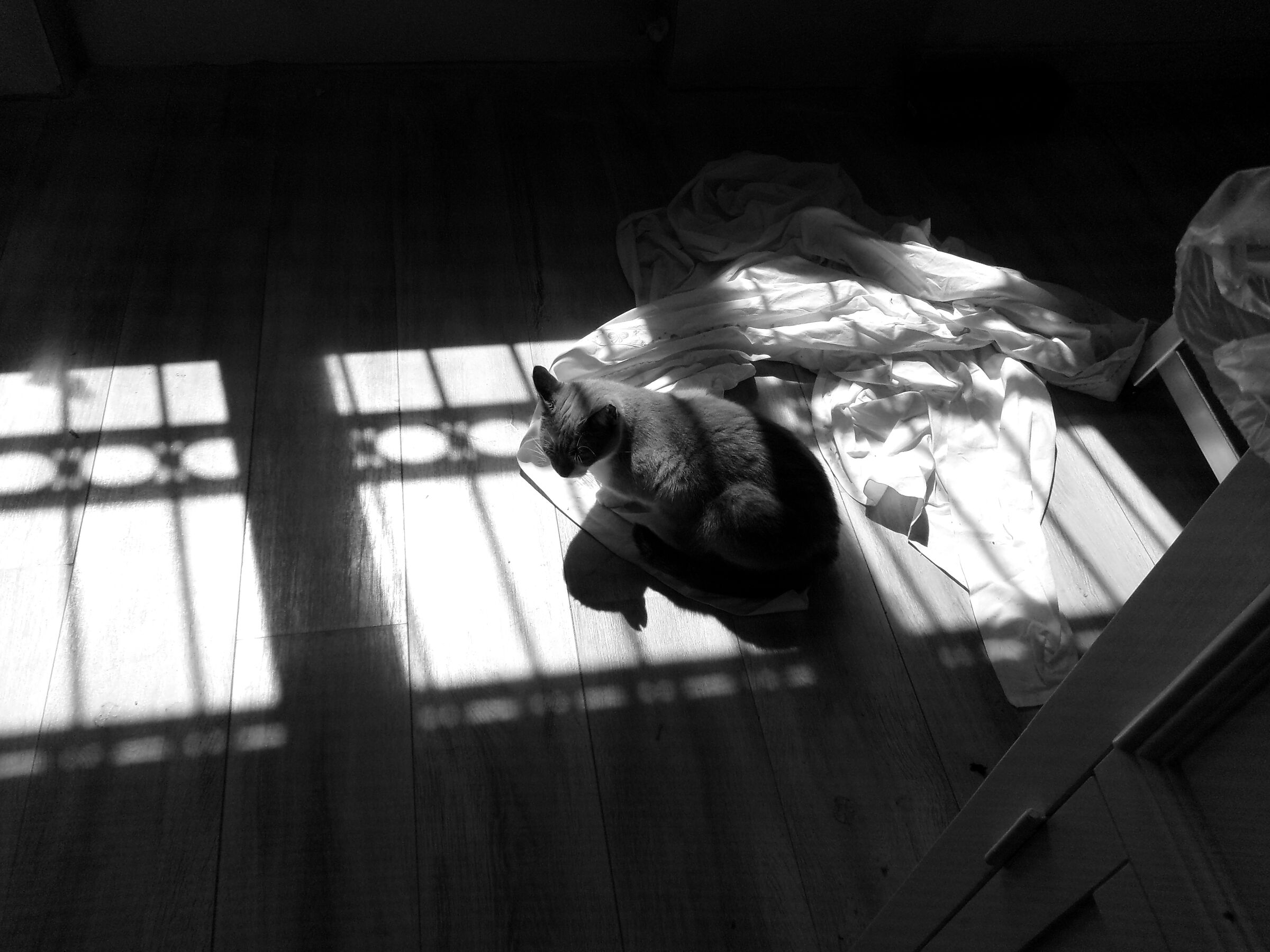 Sun, rag and you're in pole position