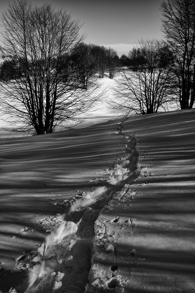 Path in the snow